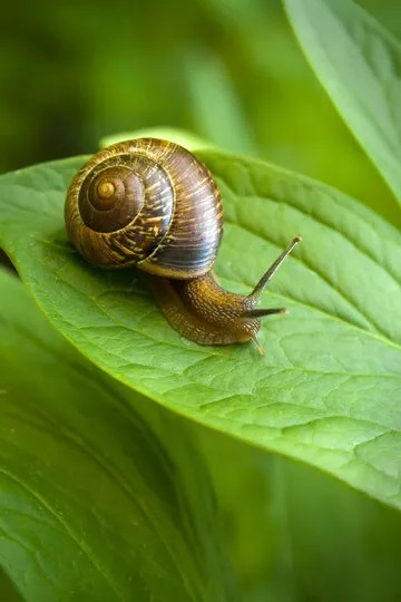 user avatar image for KBuzzer