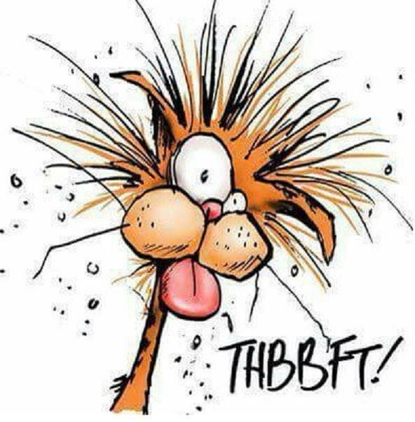 user avatar image for The Jeffinator