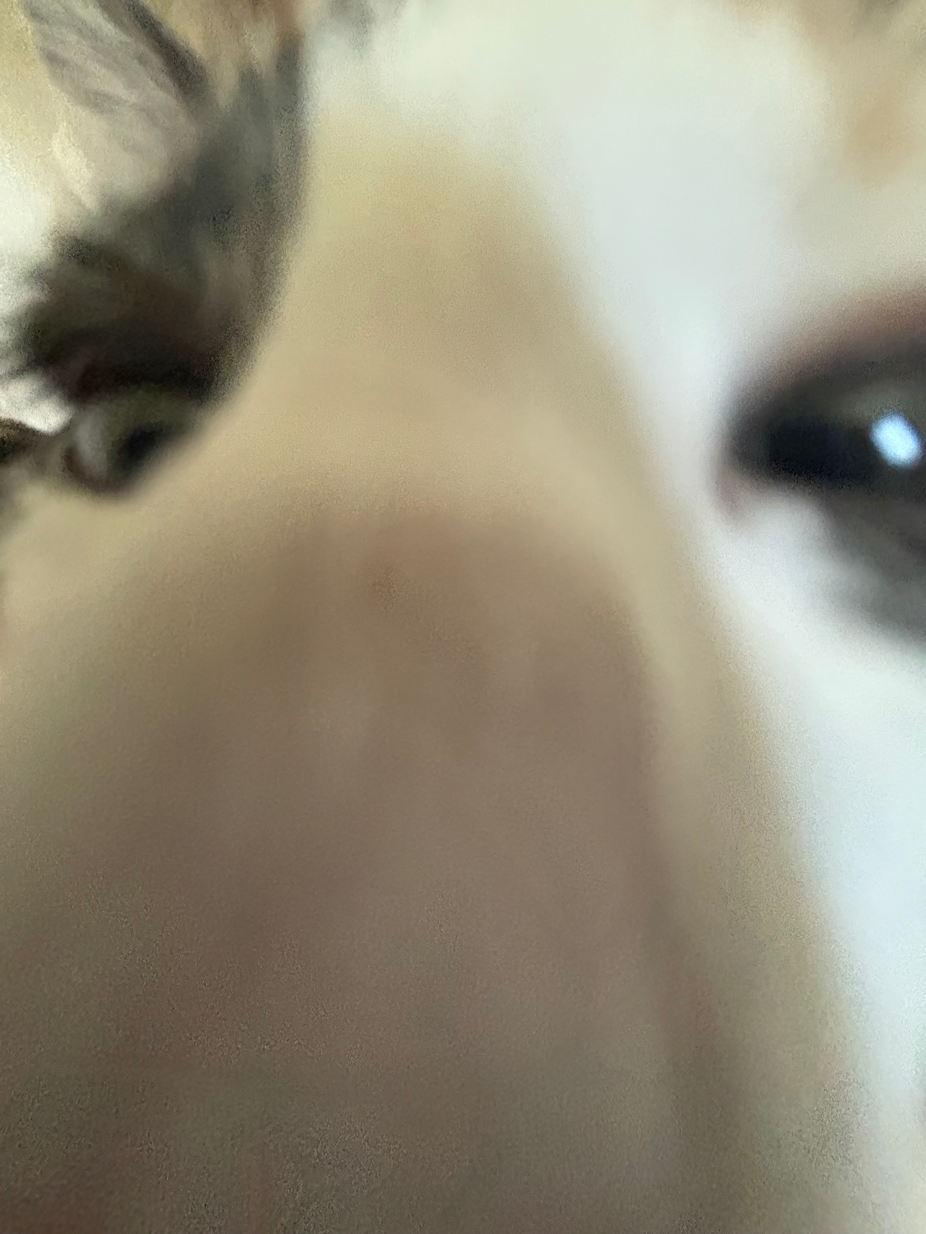 user avatar image for Chloe