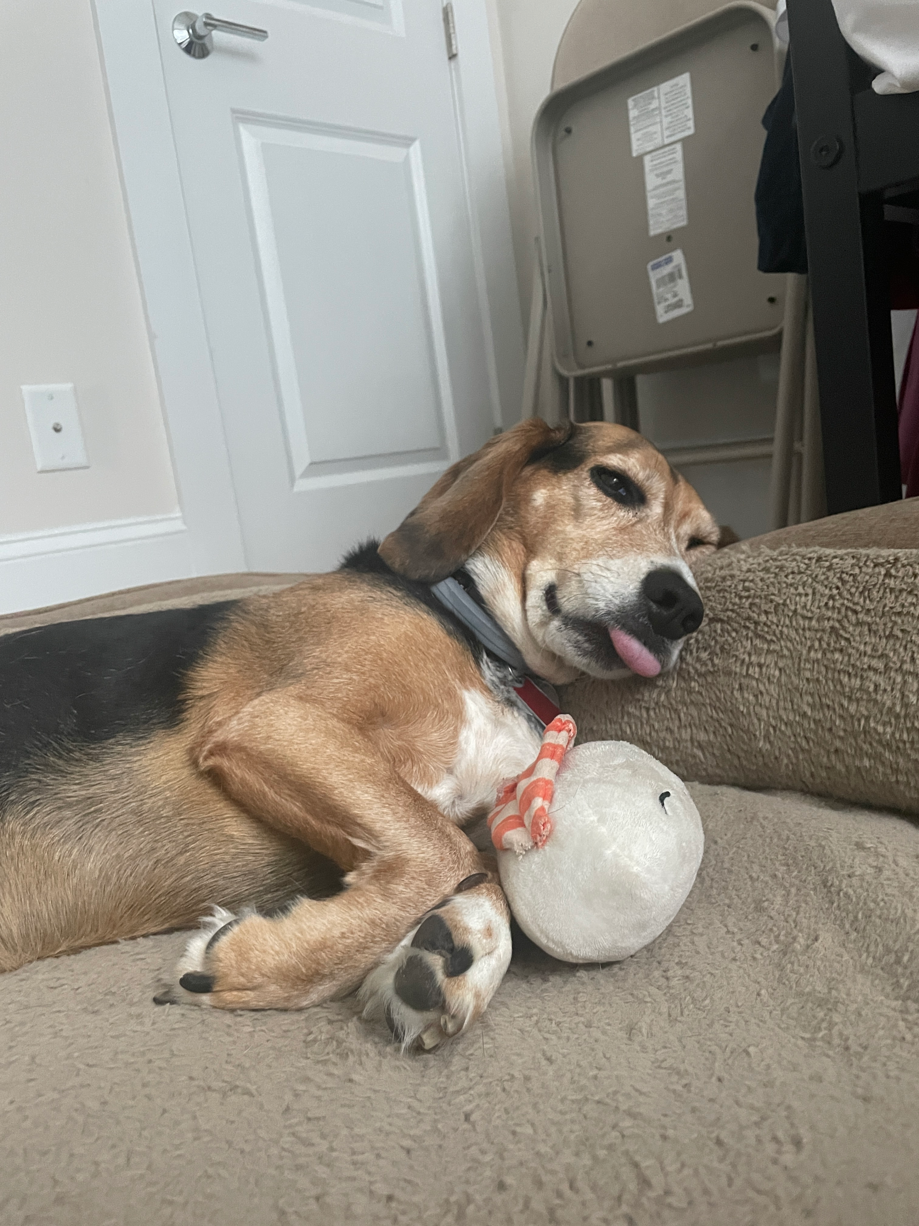 user avatar image for Alejandro Nieto