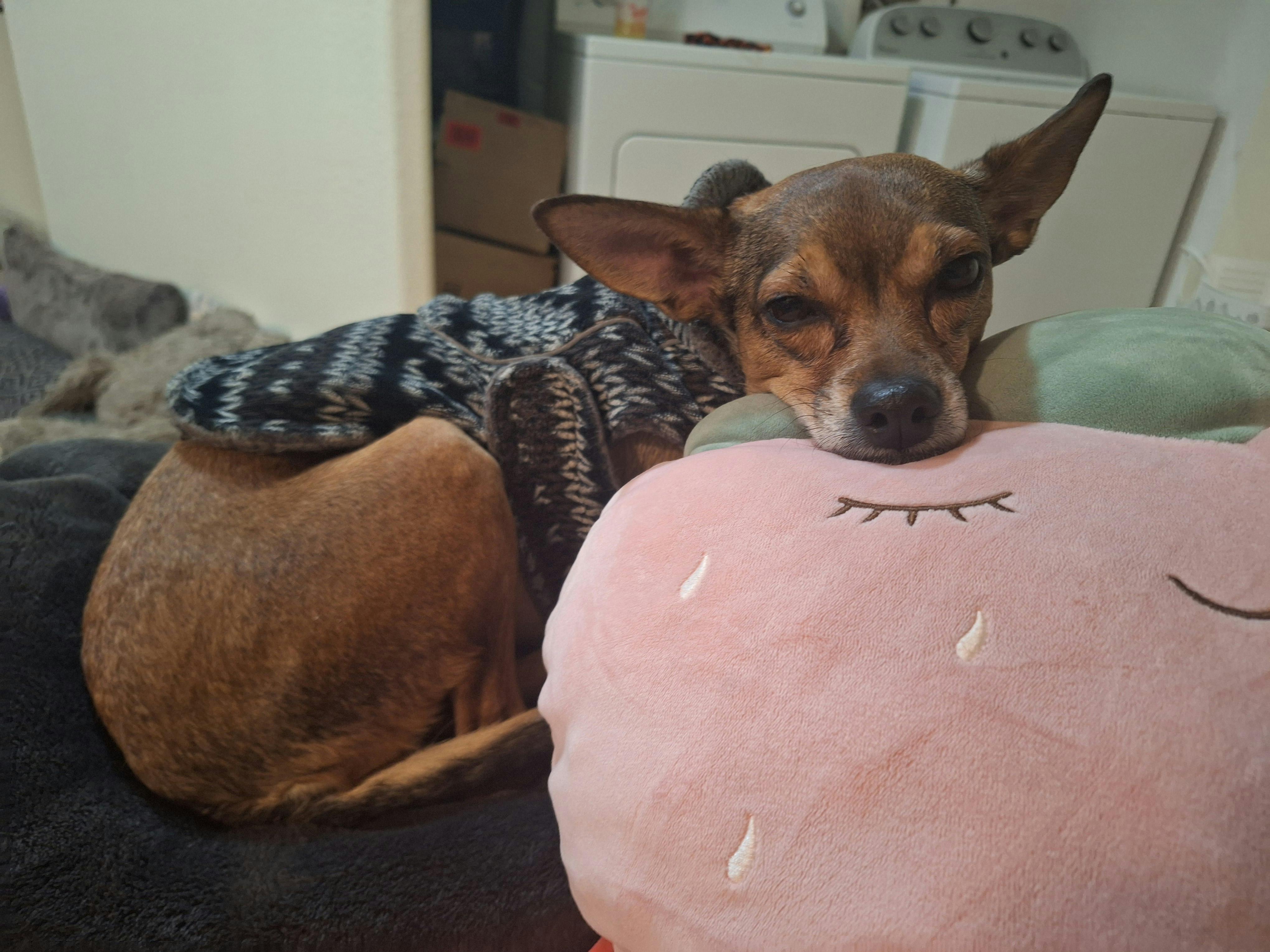 user avatar image for CNS.error