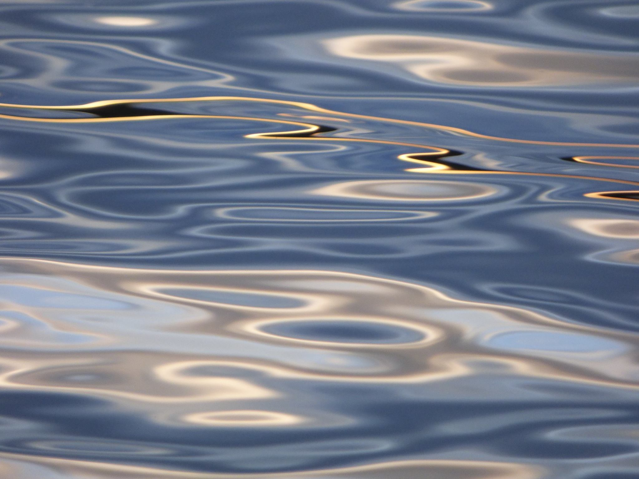 user avatar image for William Cunningham