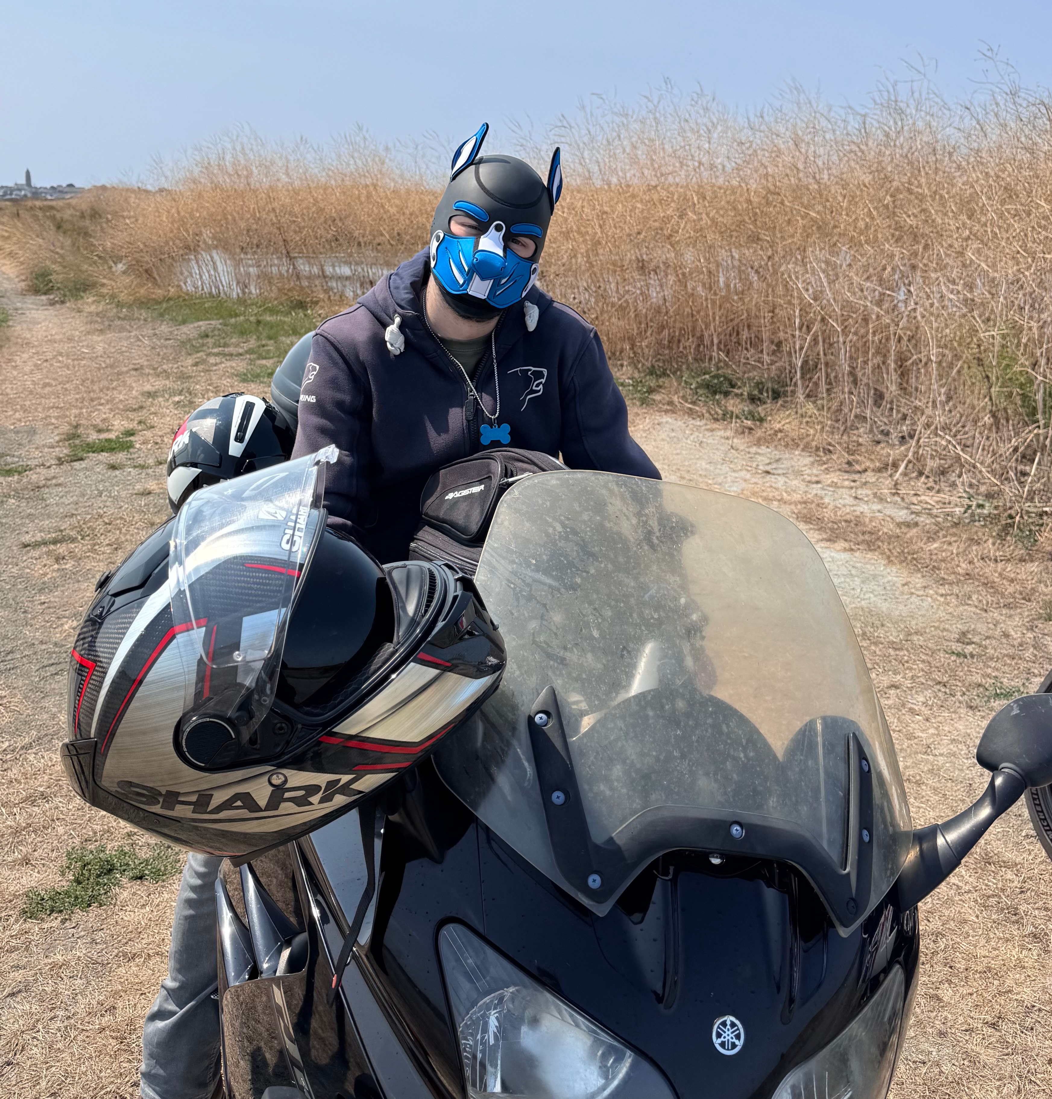 user avatar image for Fenrir