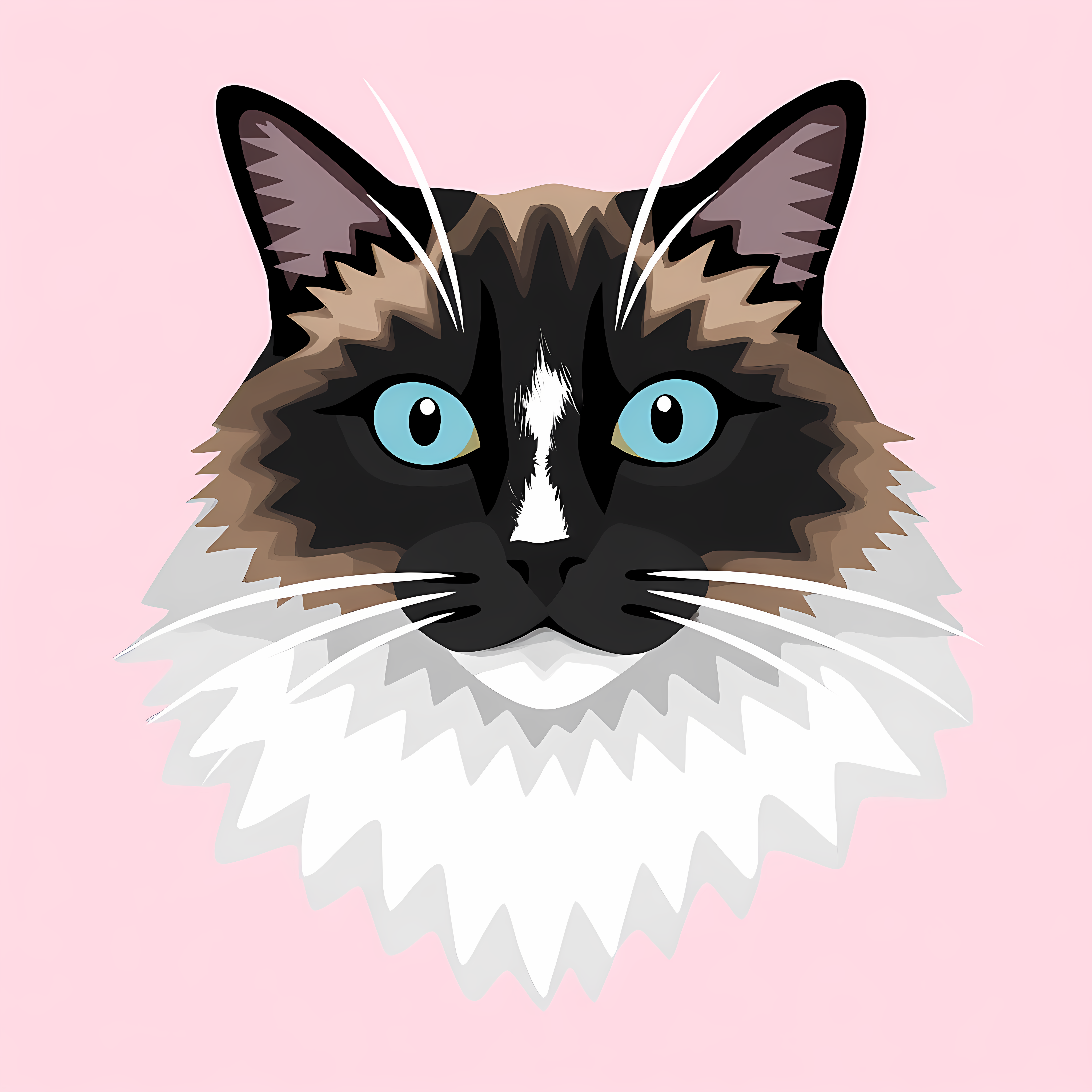user avatar image for Djayla Meer