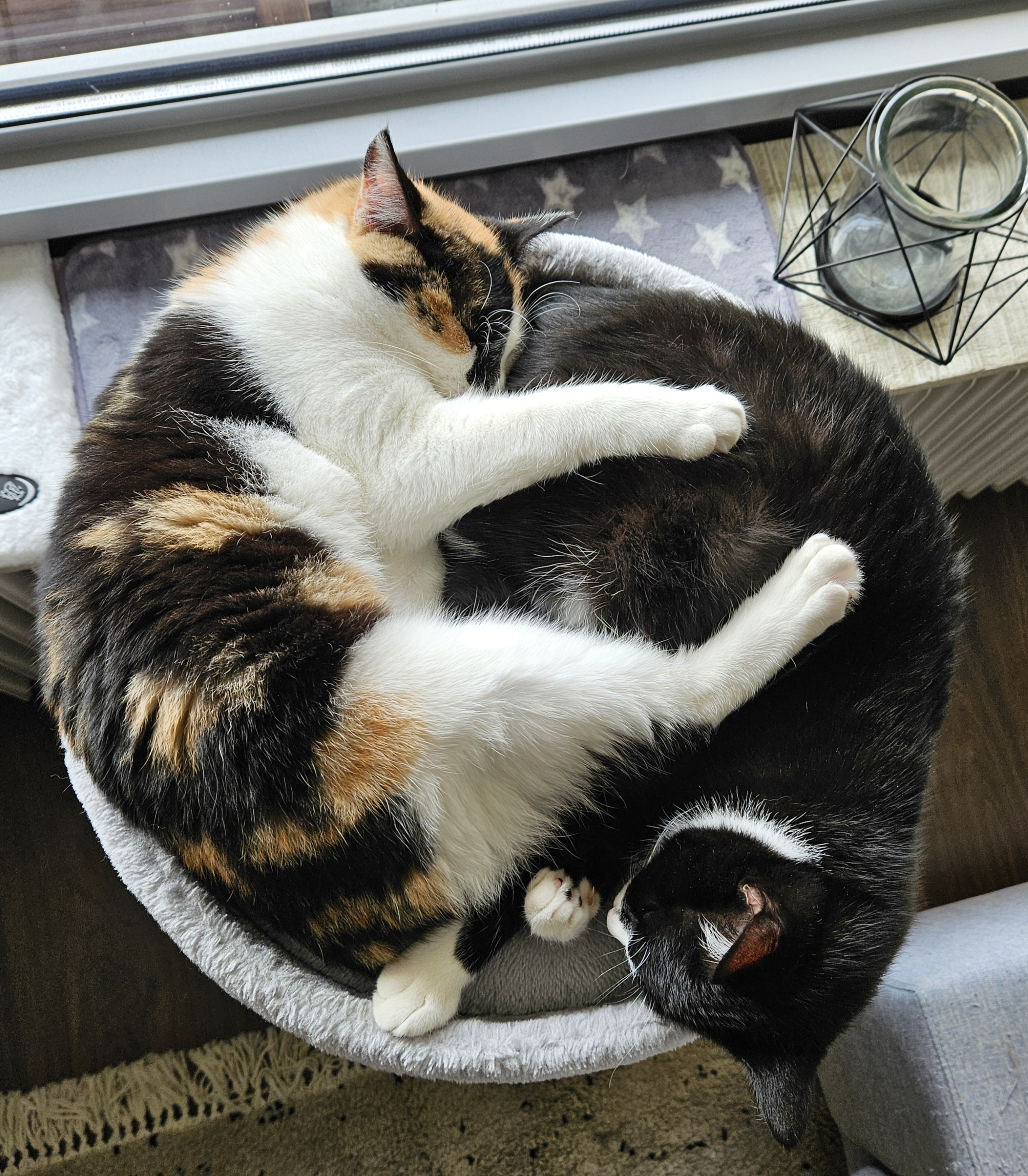 user avatar image for Nik Greefhorst