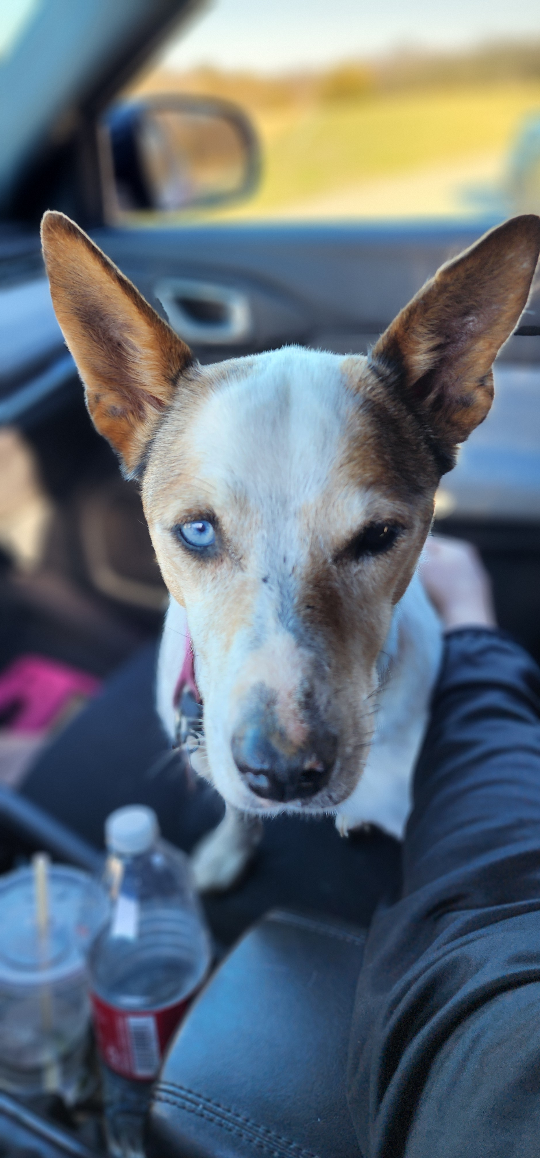 user avatar image for Hailey