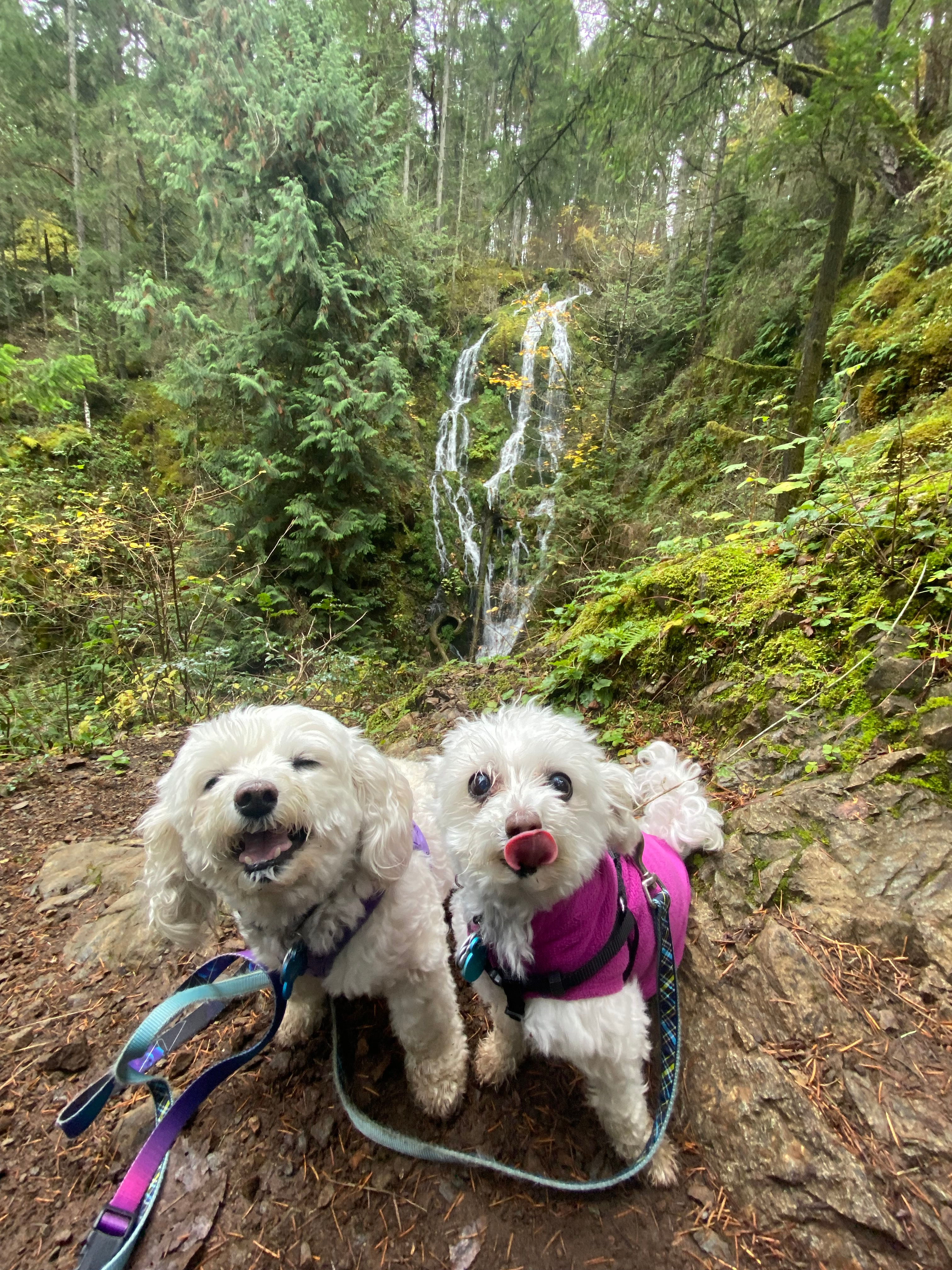 user avatar image for Lisa Heffernan