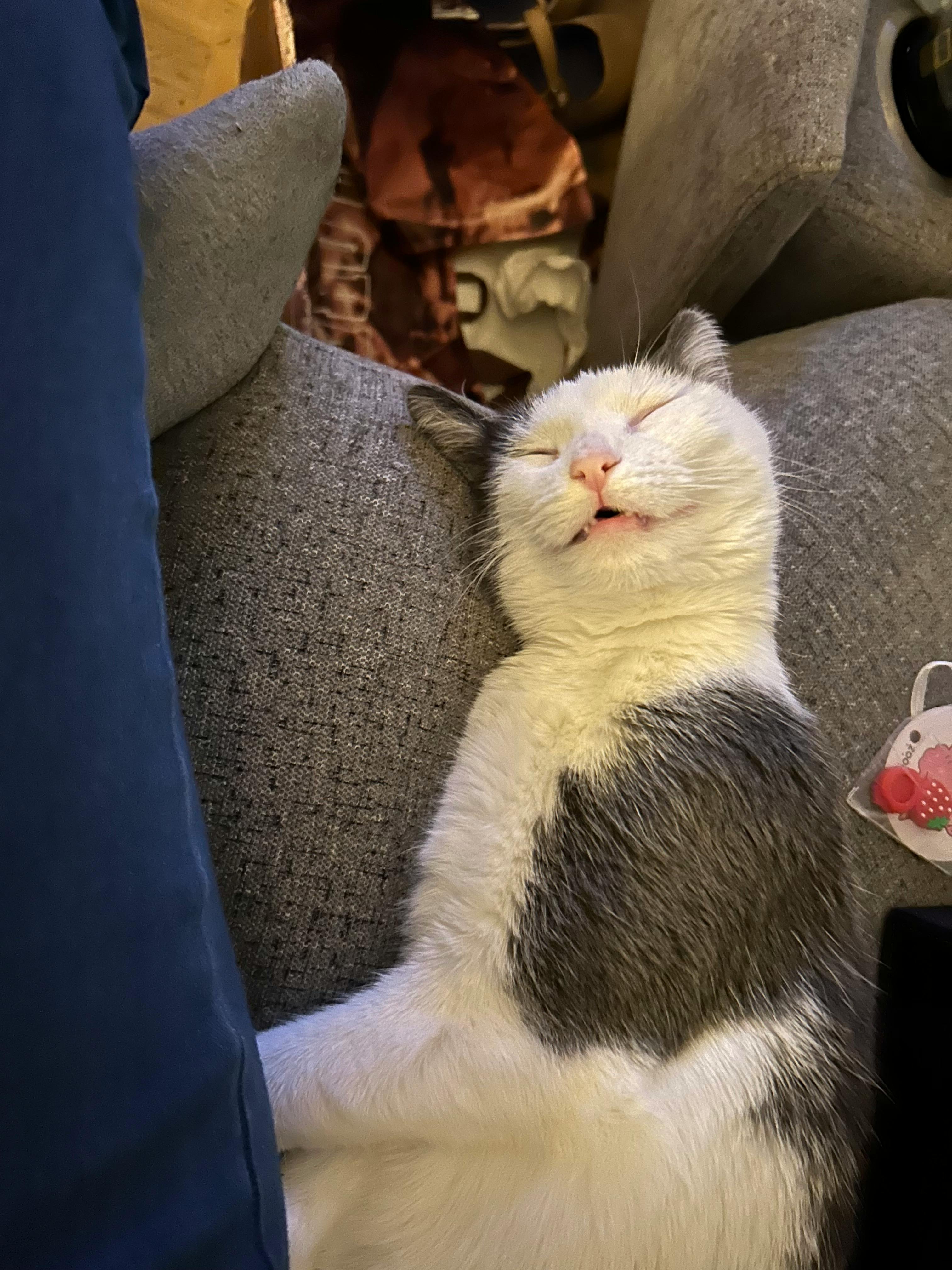 user avatar image for Andi