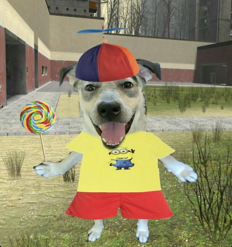 user avatar image for Elliott