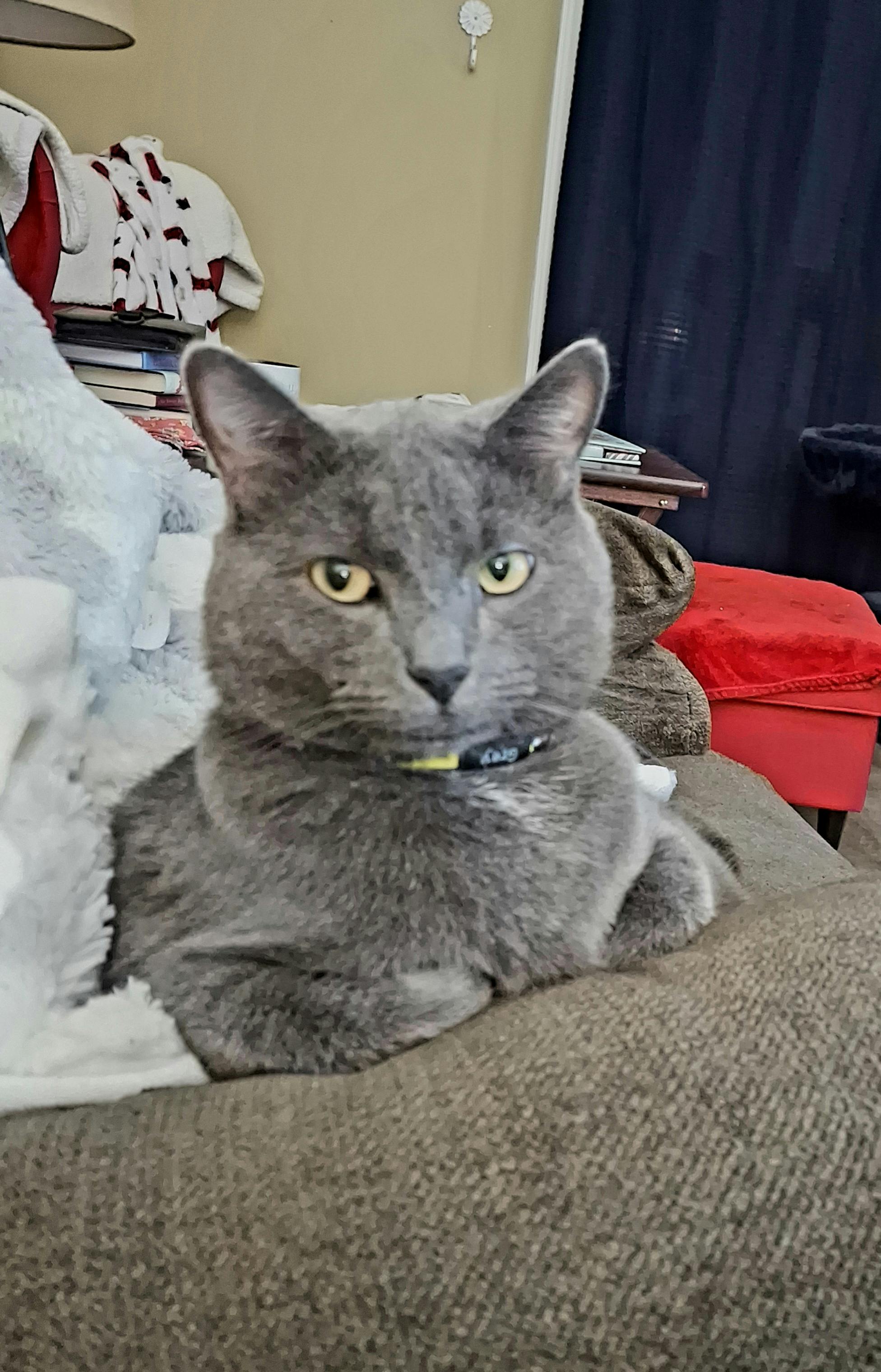 user avatar image for Anvil7192 