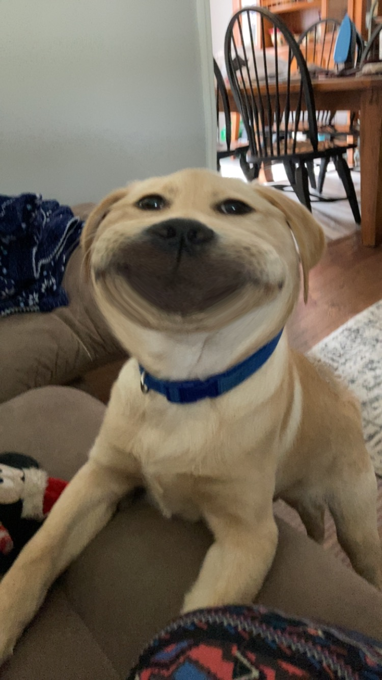 user avatar image for CaptNibbles