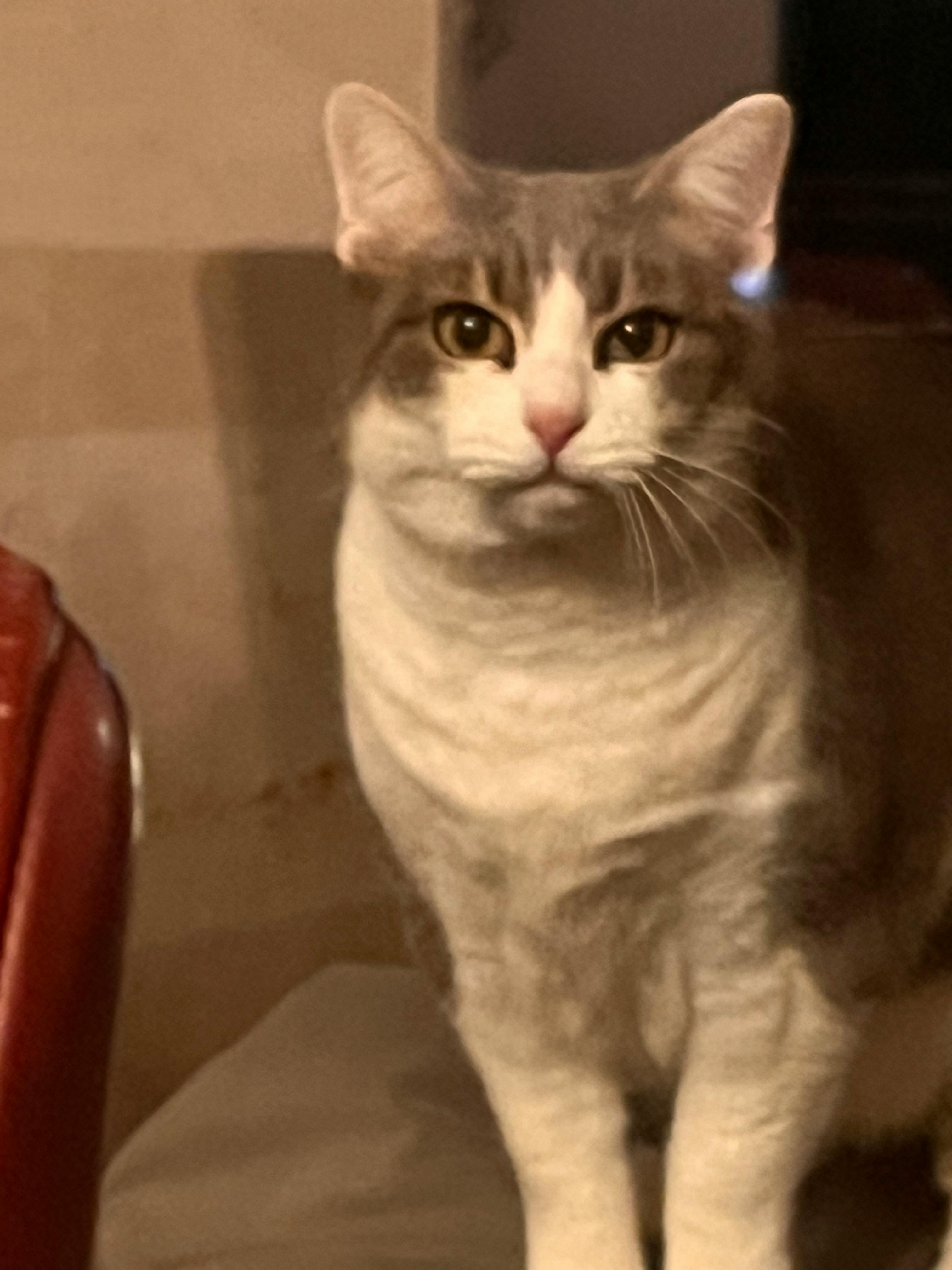 user avatar image for Margherita Polloni