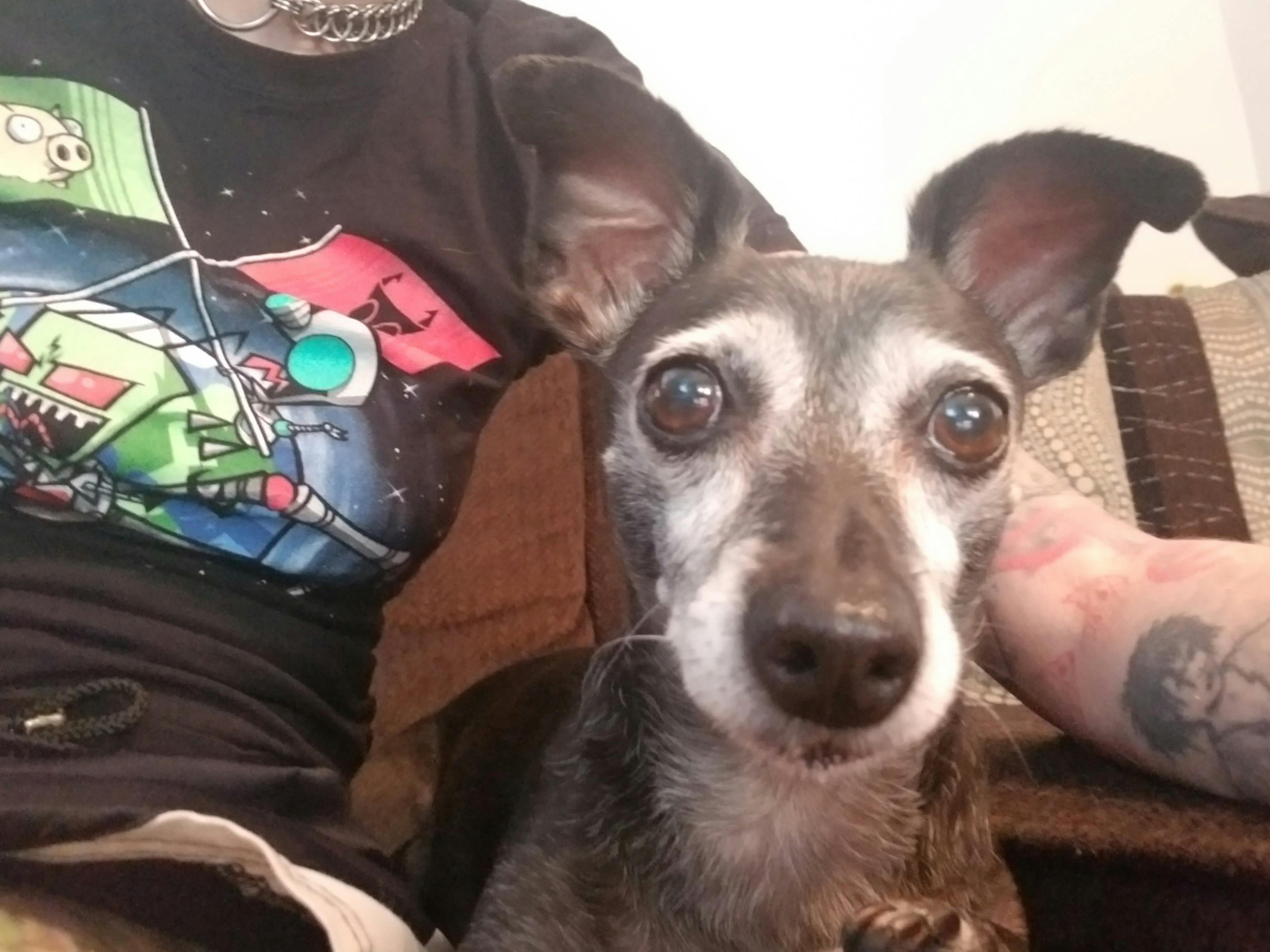 user avatar image for Becky O'Rourke