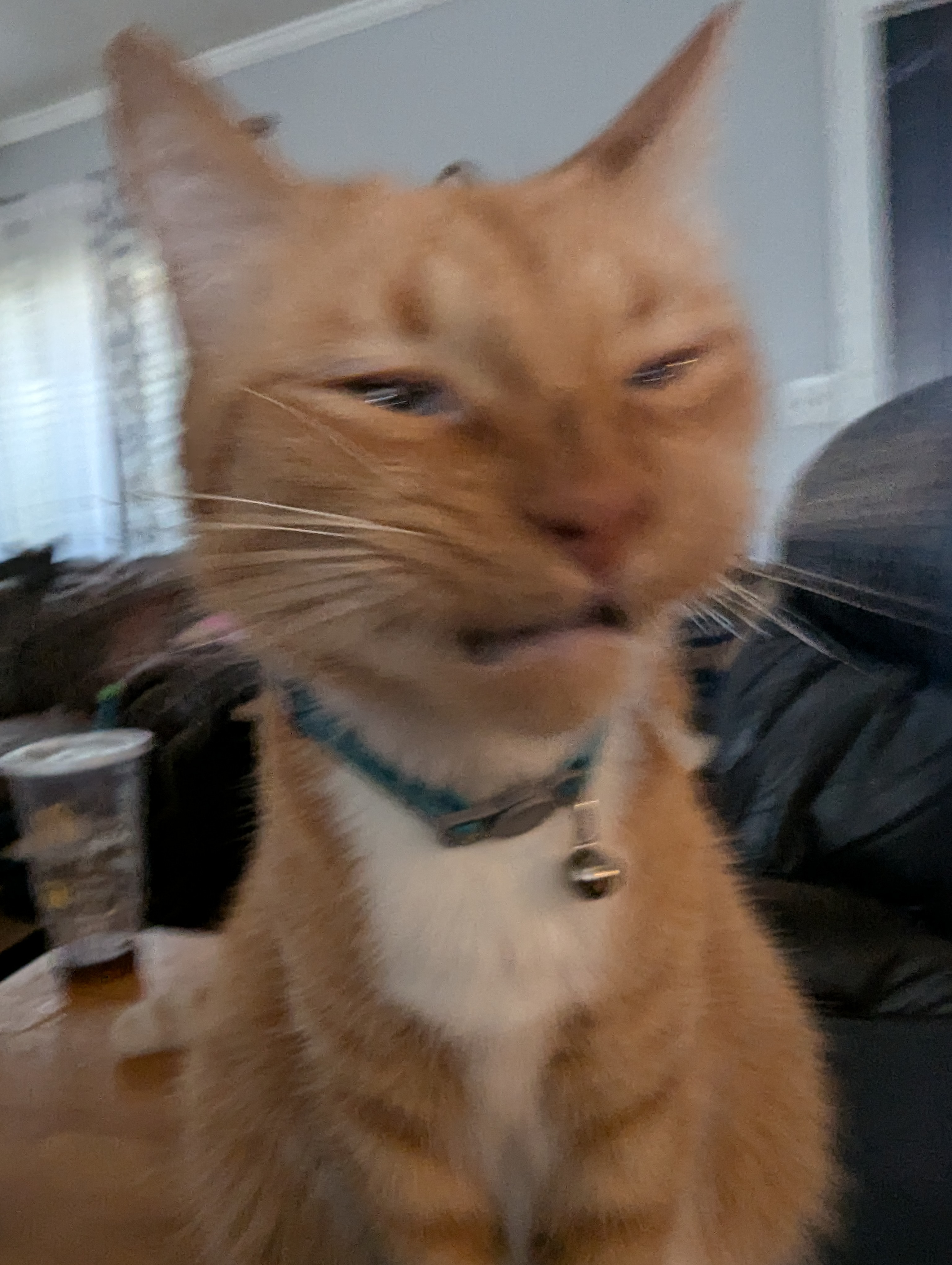 user avatar image for Matthew 