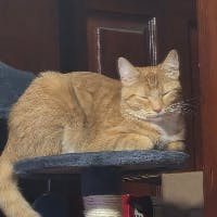 user avatar image for Richard