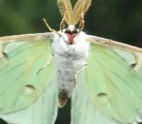 user avatar image for Mikemax