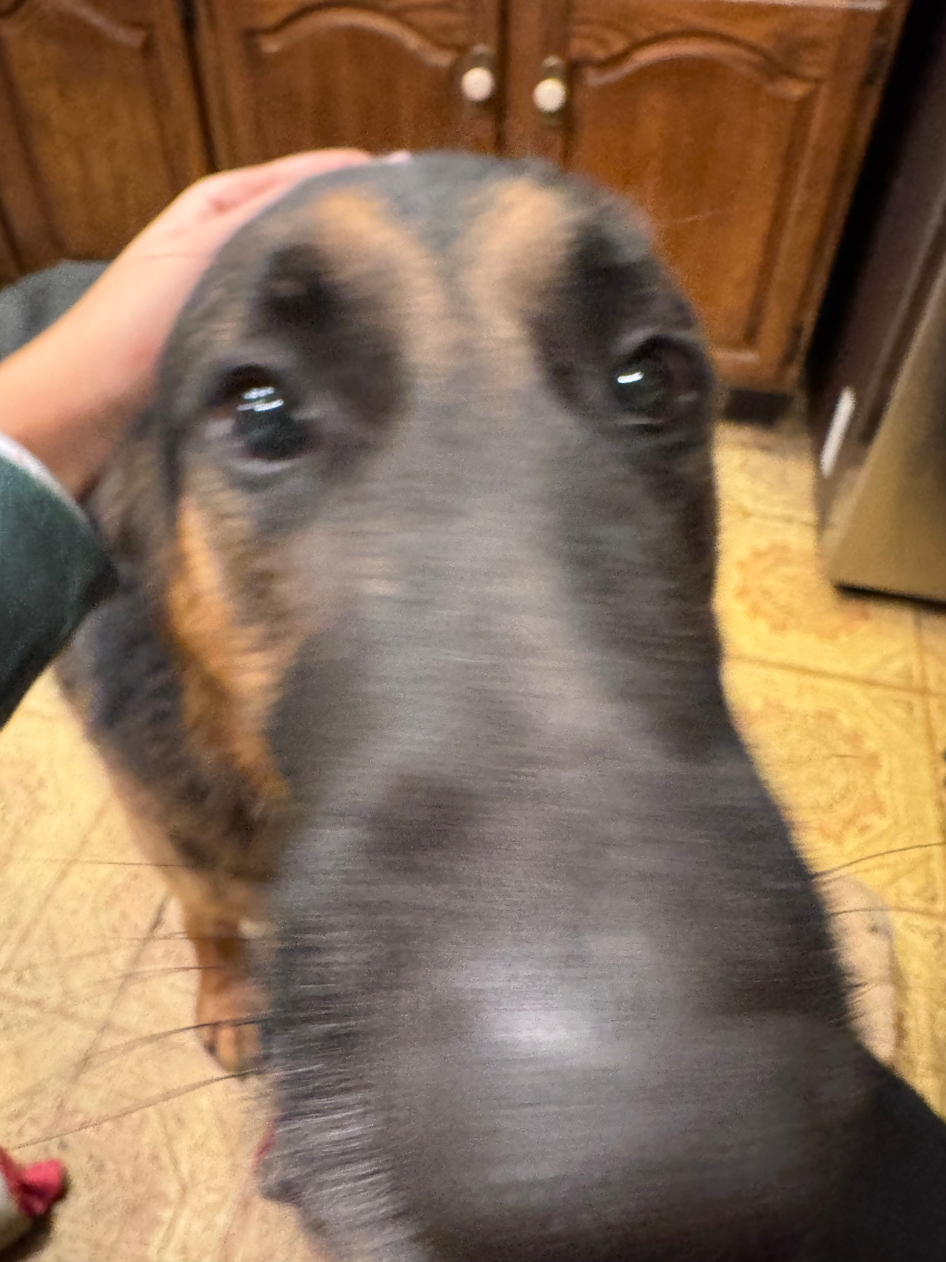 user avatar image for A