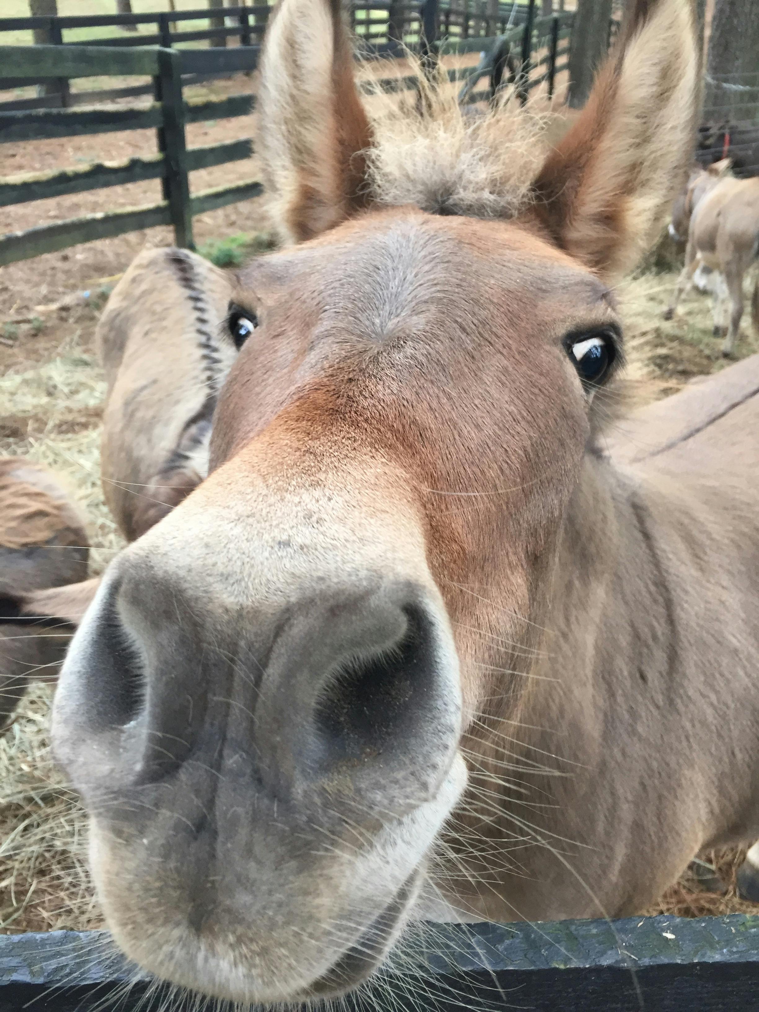 user avatar image for Greg Hamamgian