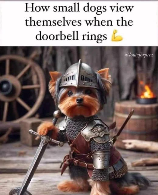 user avatar image for Brad