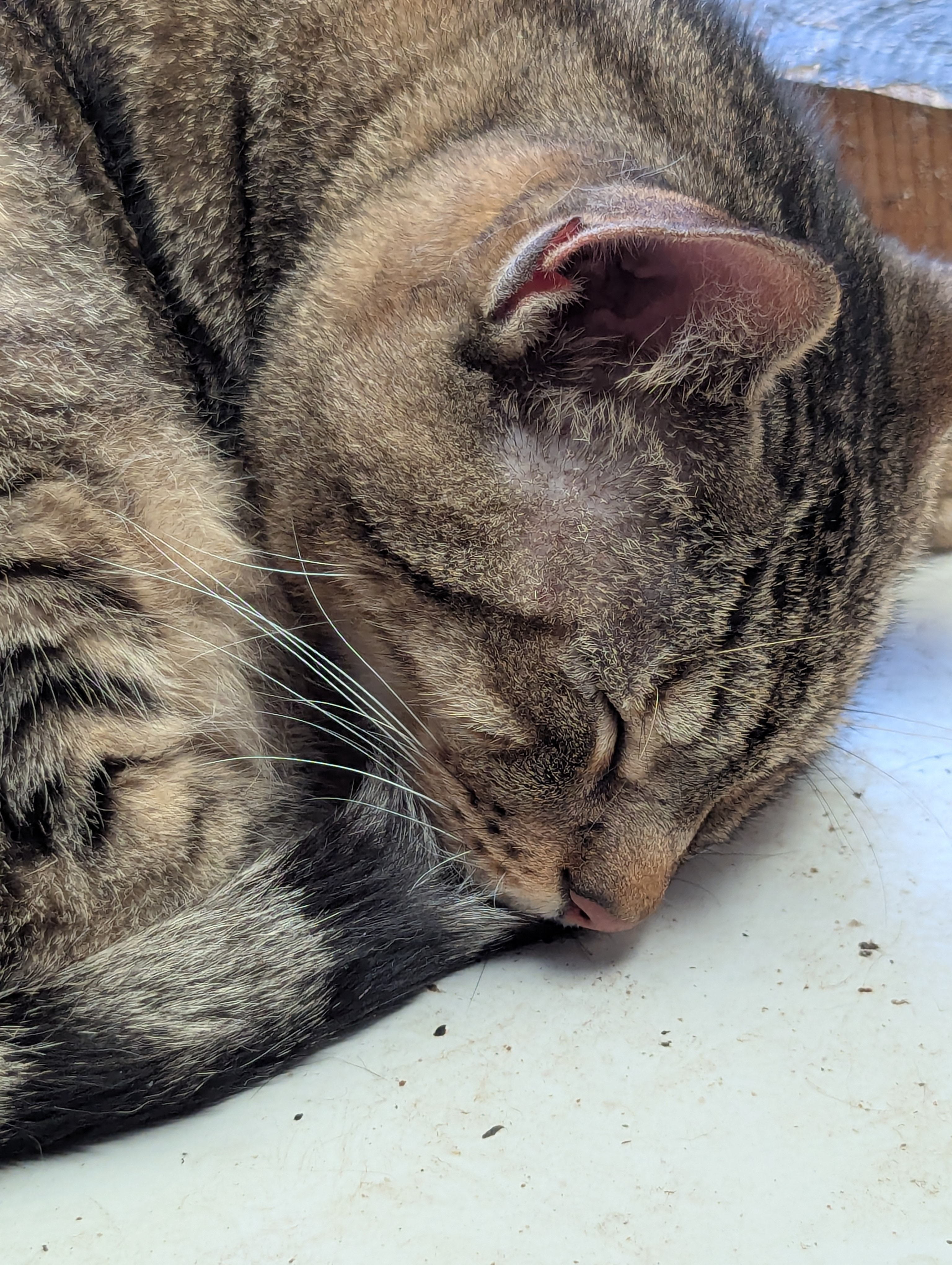 user avatar image for Ronald Deome