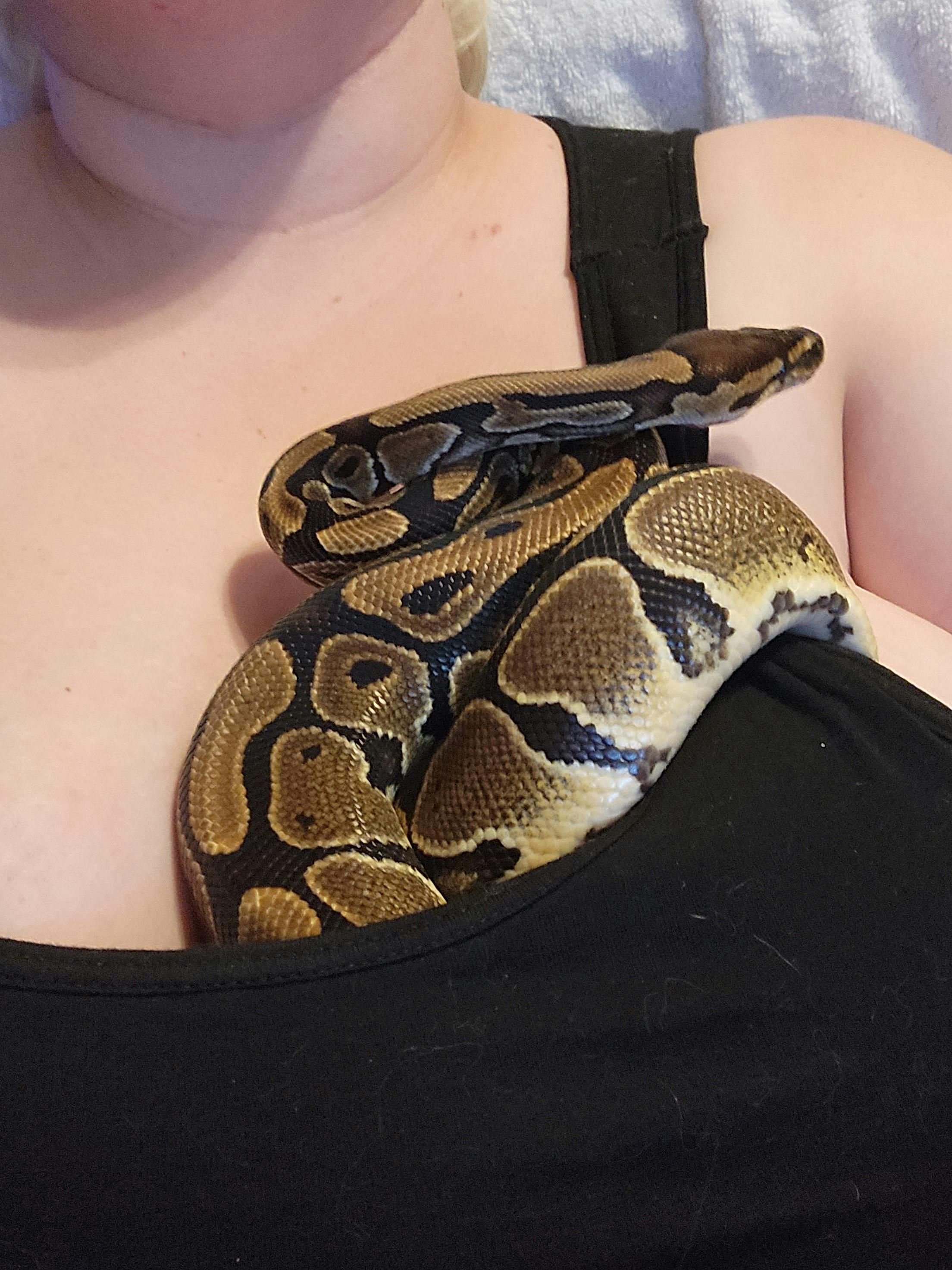 user avatar image for Snowytetra