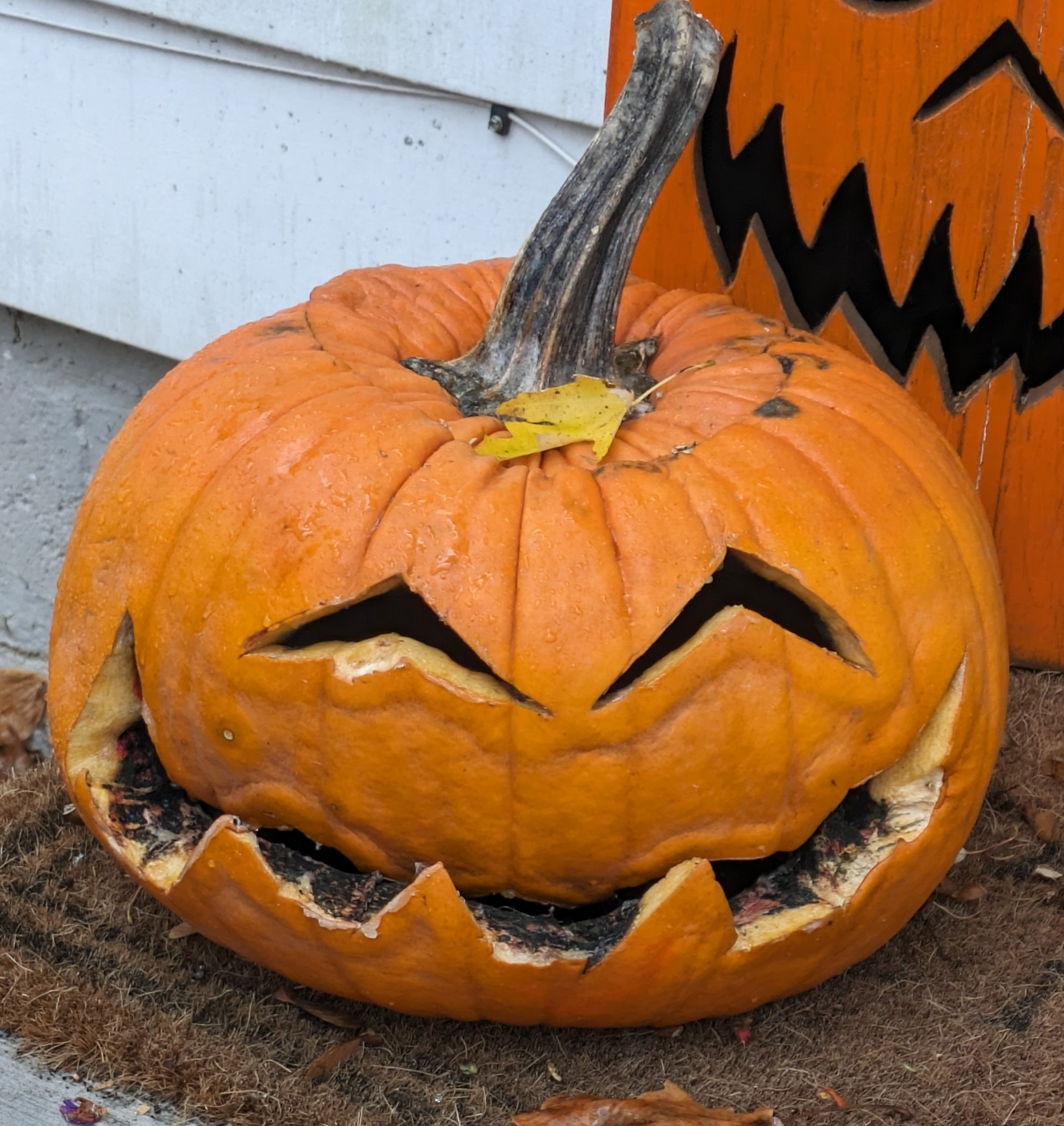 user avatar image for Mike Franklin