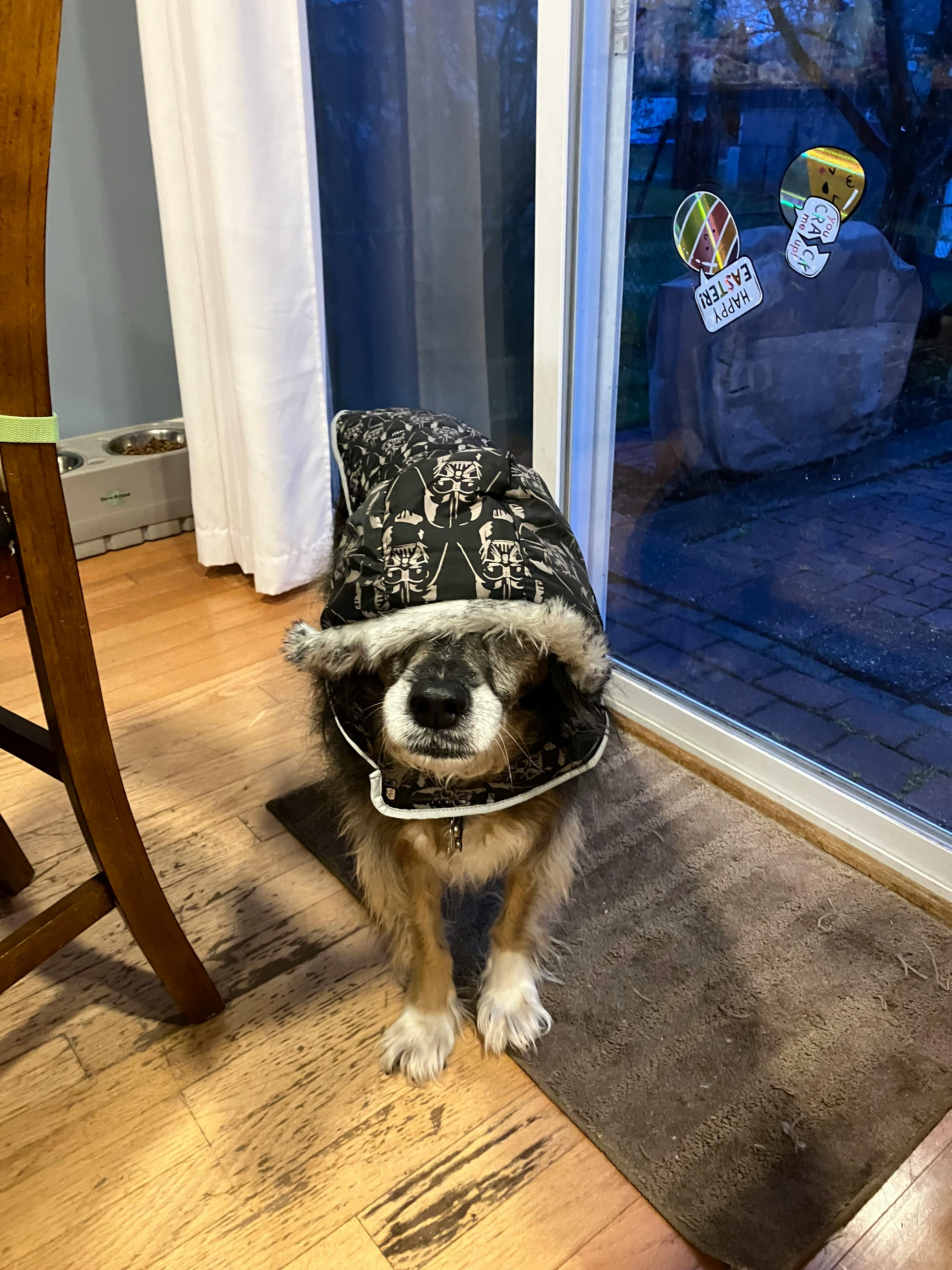 user avatar image for CriticalButler