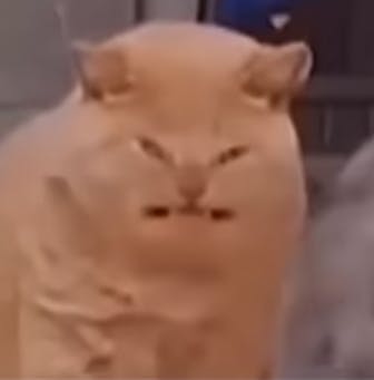 user avatar image for Luminipharamp