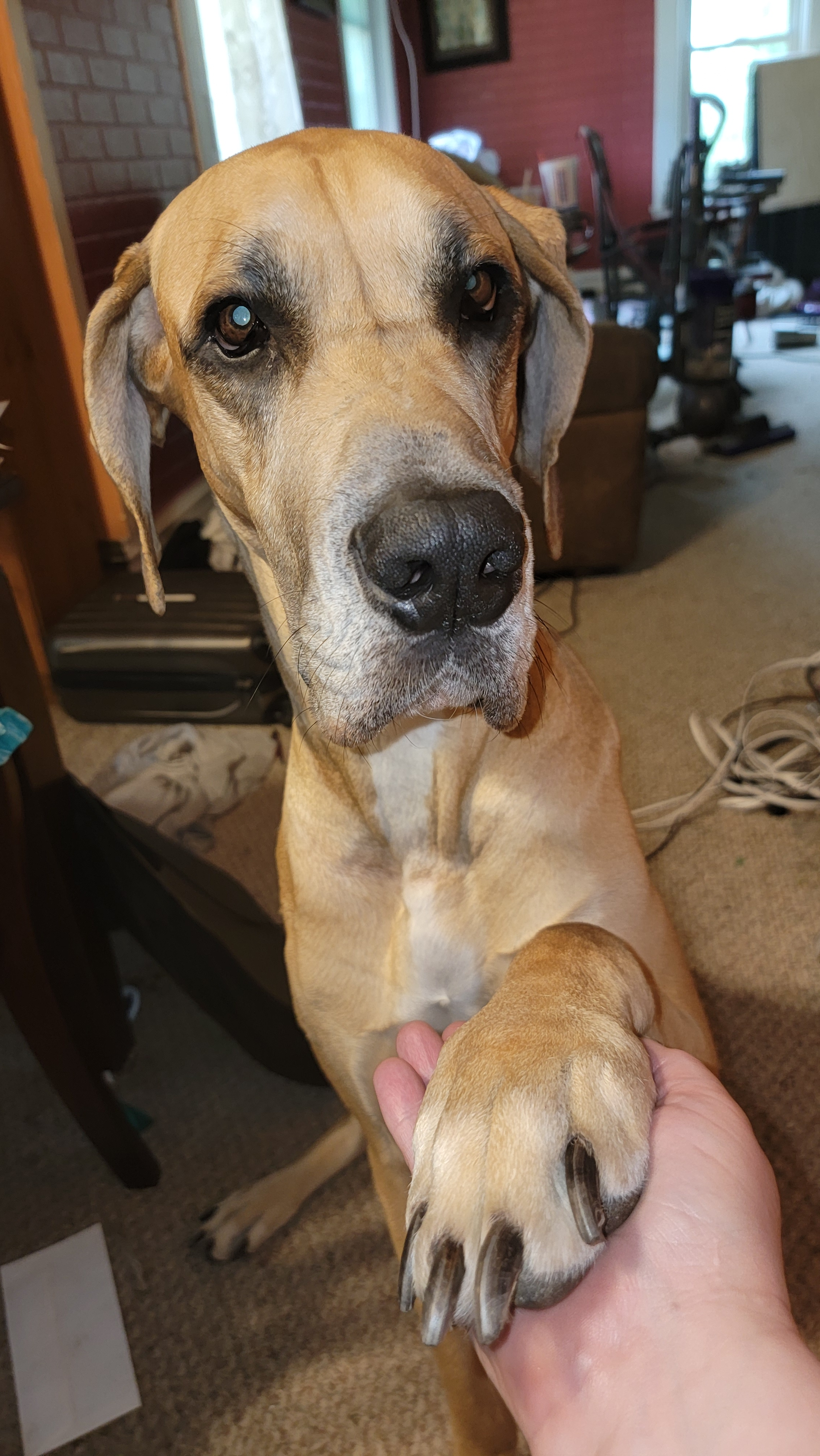 user avatar image for Ravenspinner 