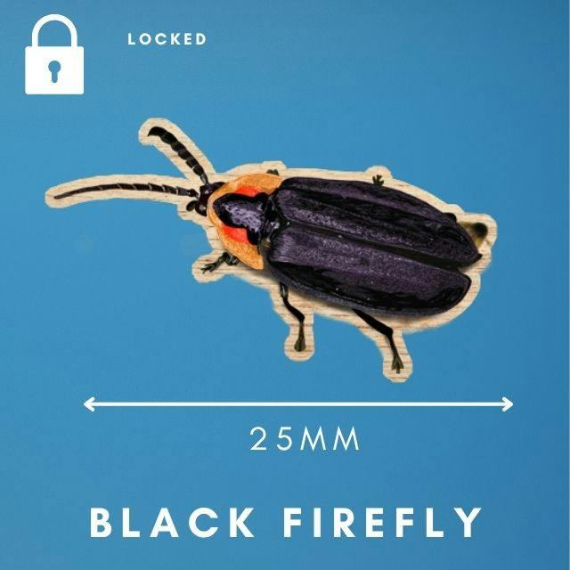 black firefly wooden 25mm mini pin unlocks at £250