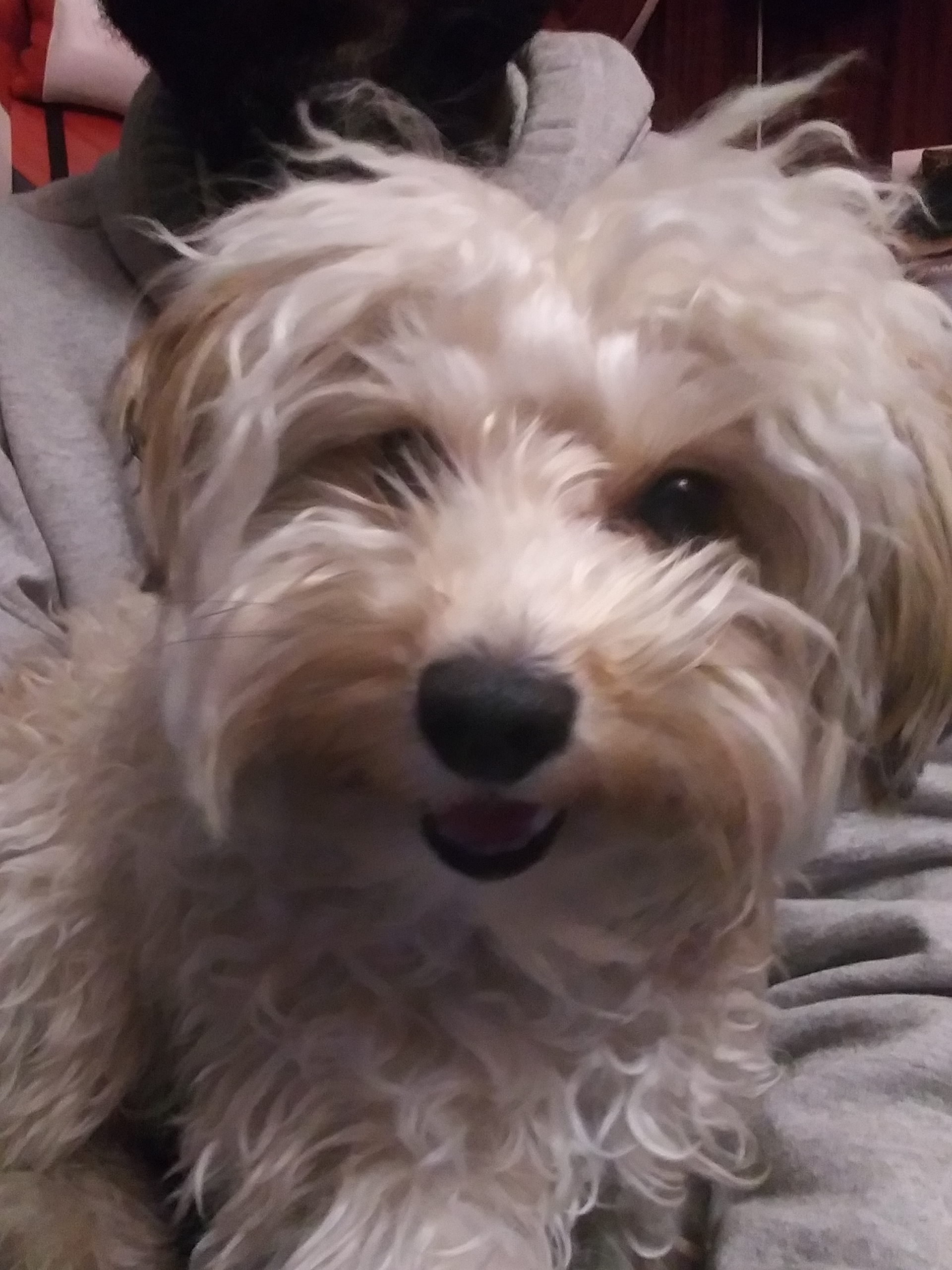 user avatar image for Austin Ray