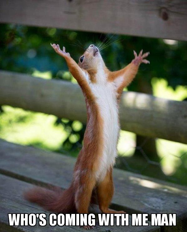 user avatar image for Fizmon