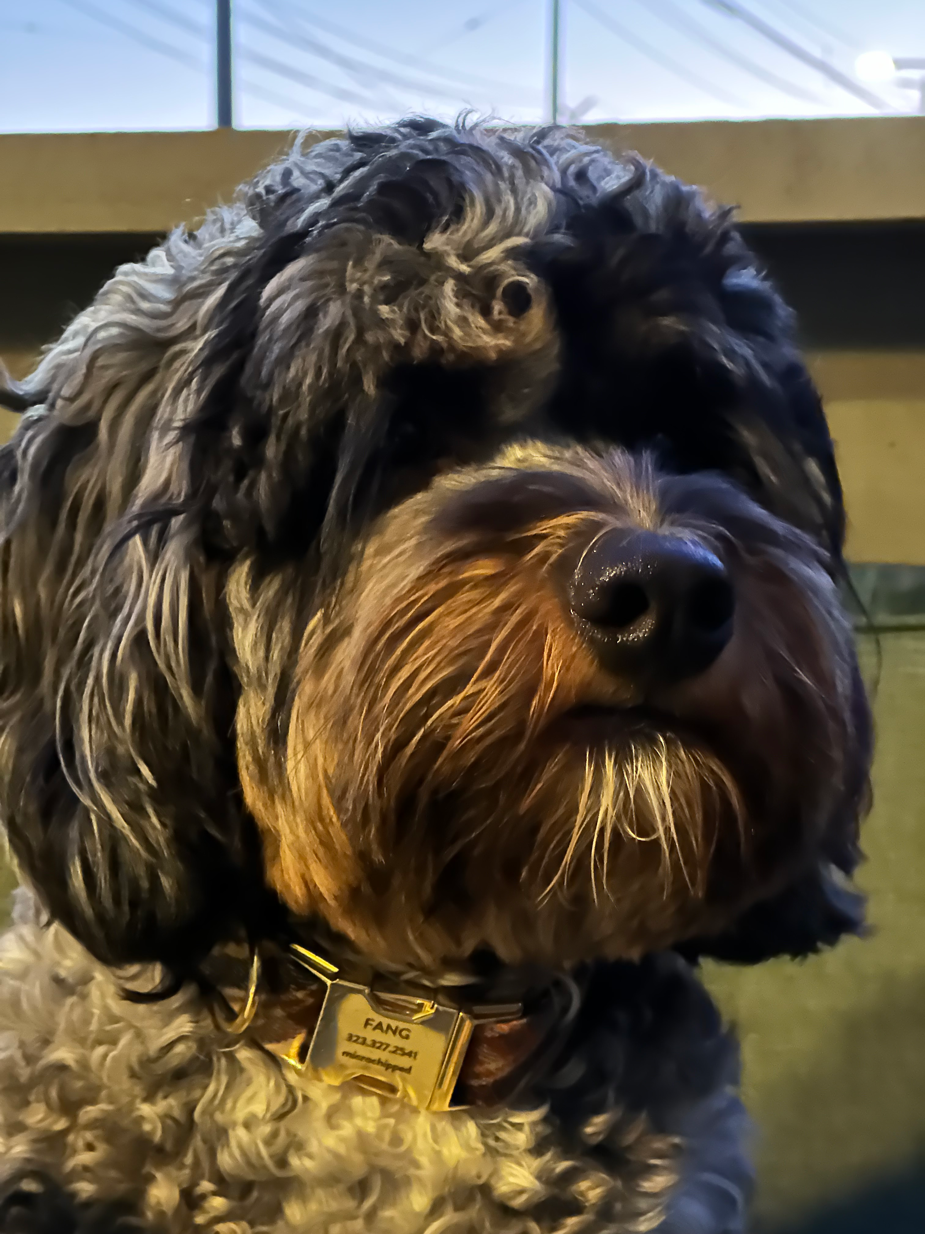 user avatar image for S. Wang
