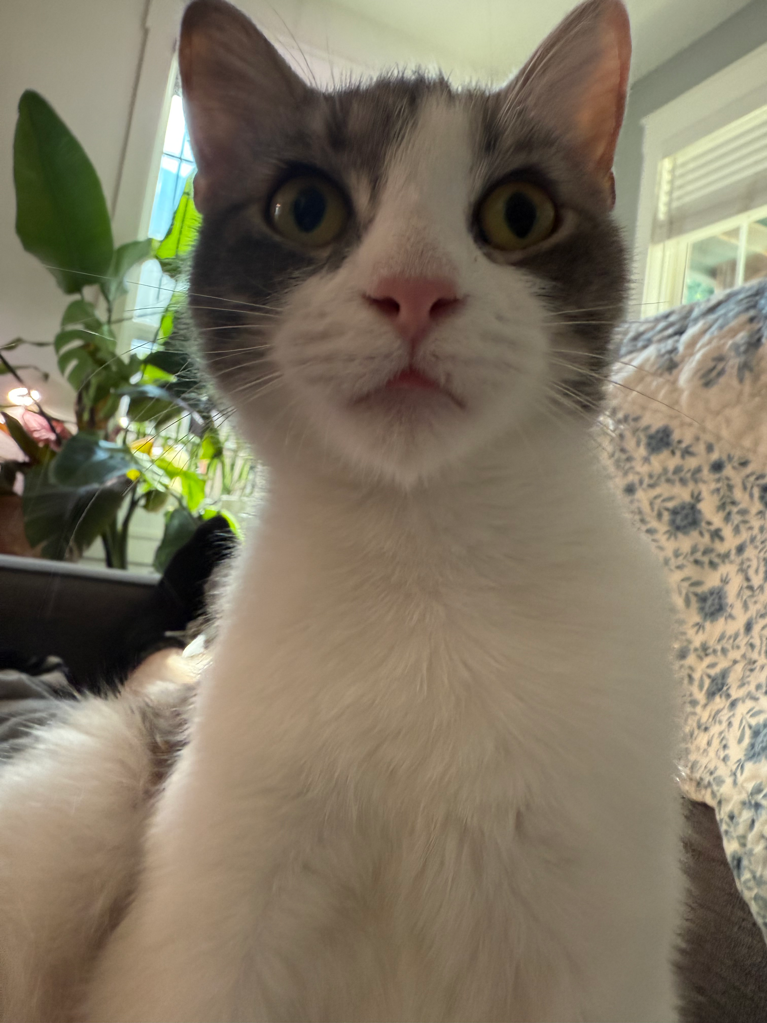 user avatar image for Jusitn