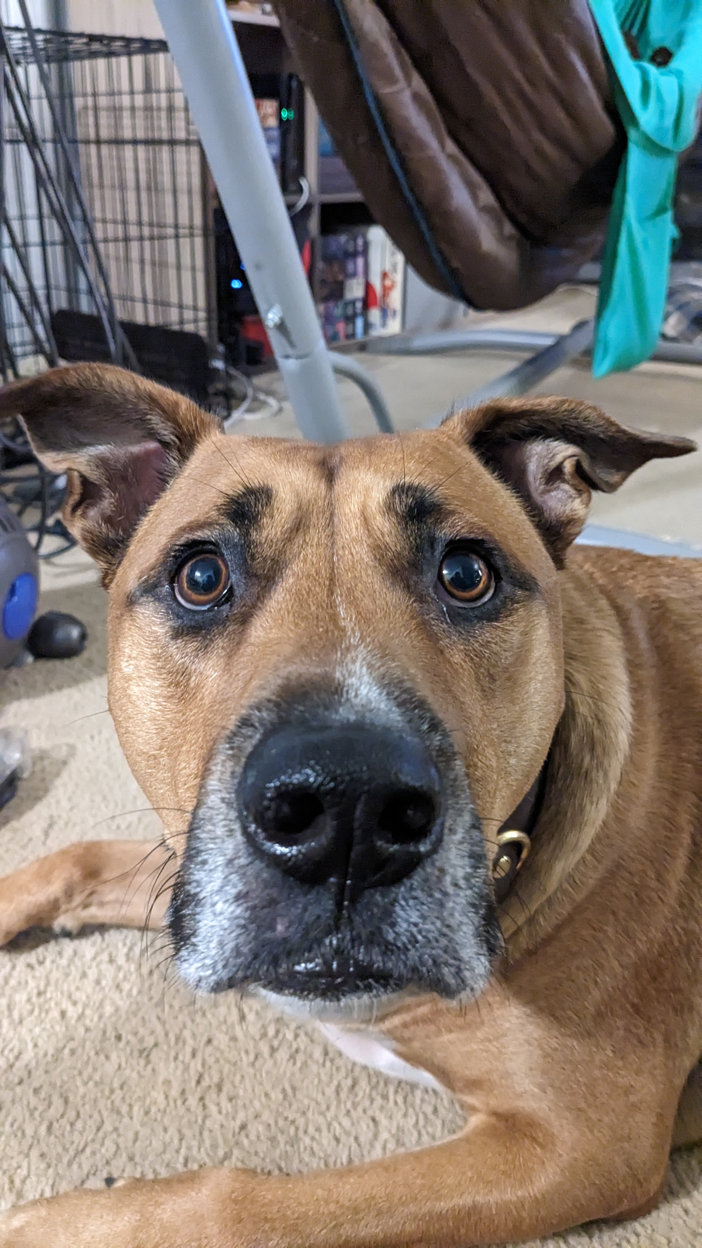 user avatar image for Sarah Jones