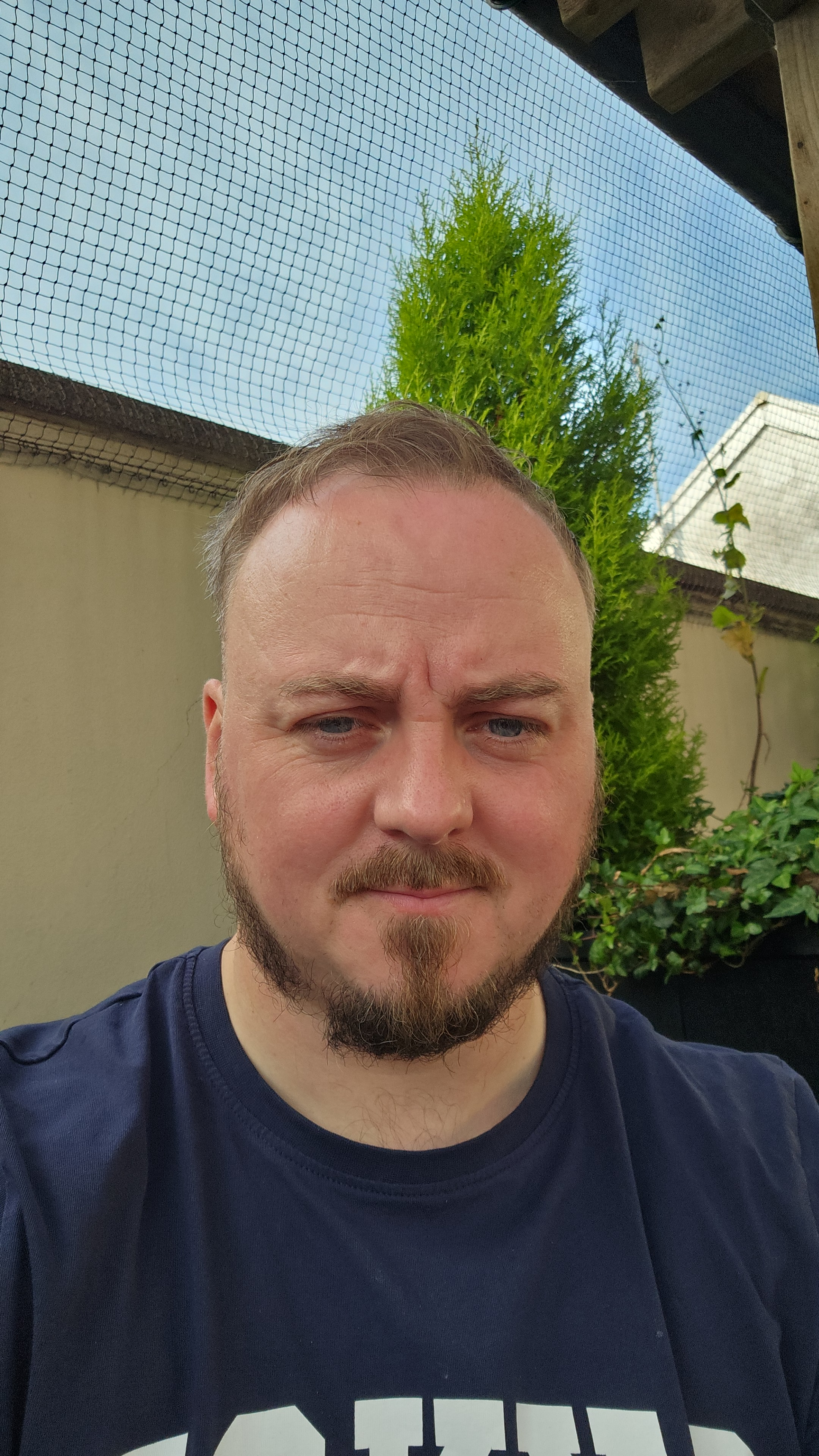 user avatar image for Neil