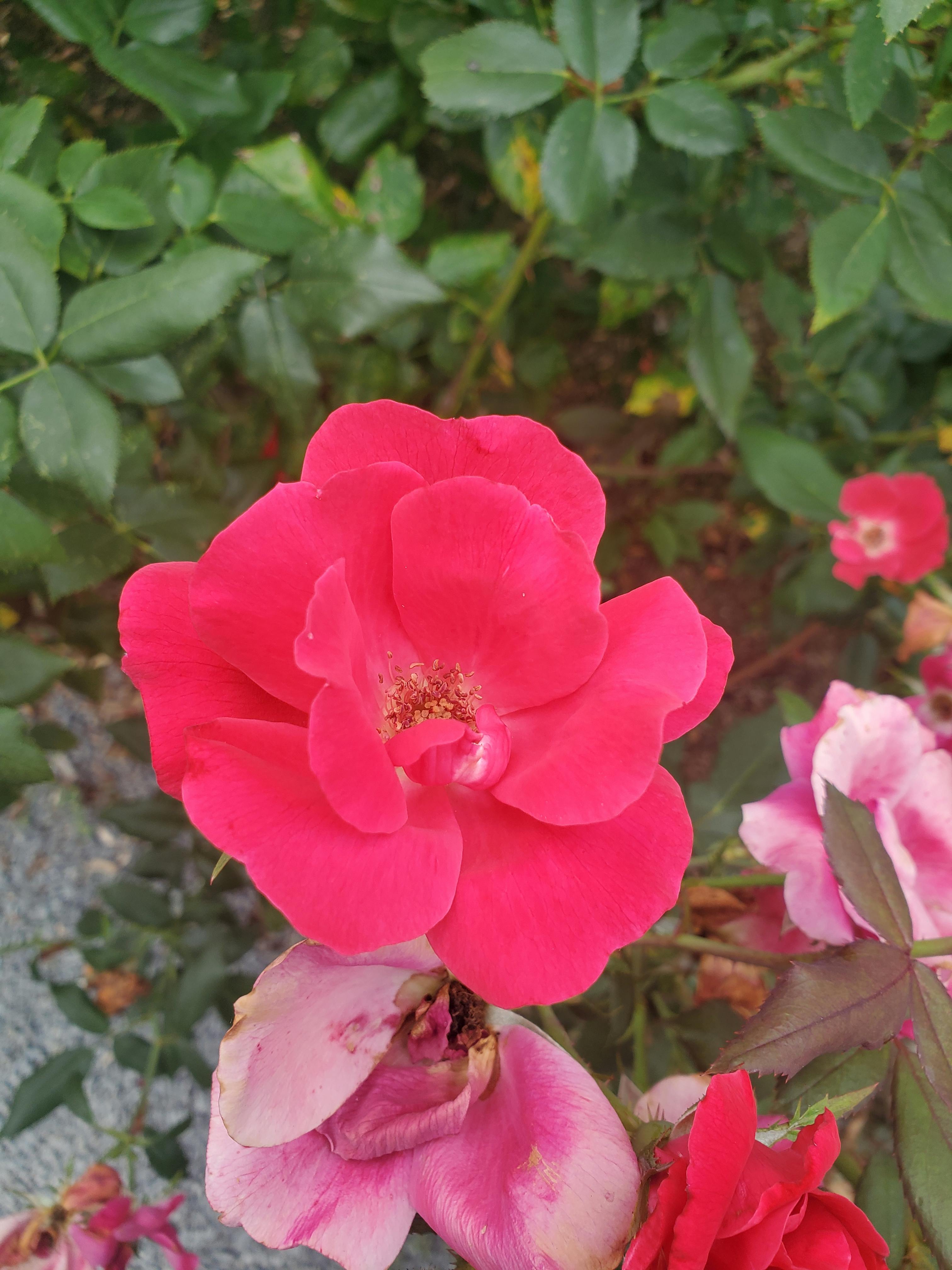 user avatar image for Kat