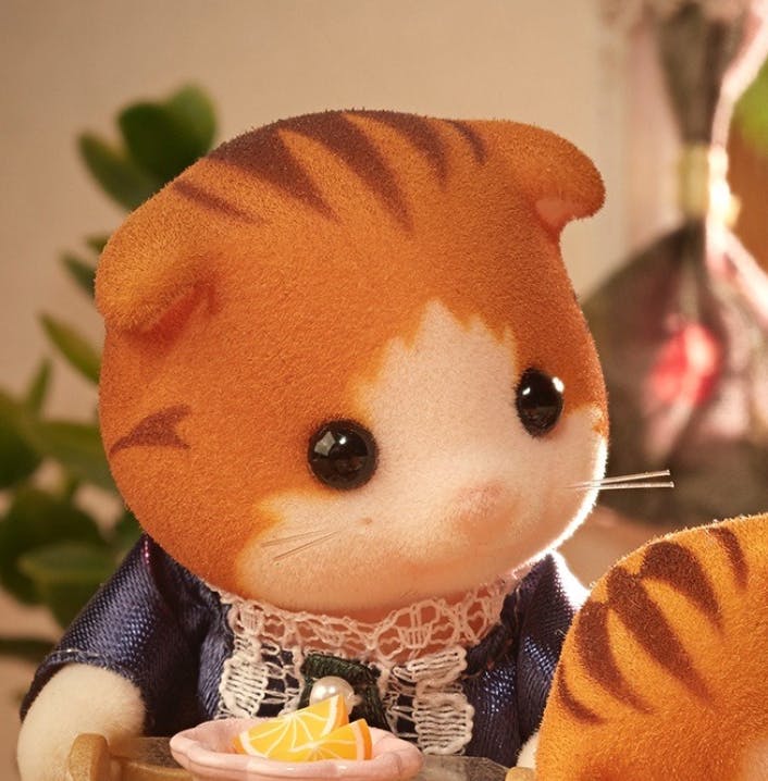 user avatar image for Elisa C