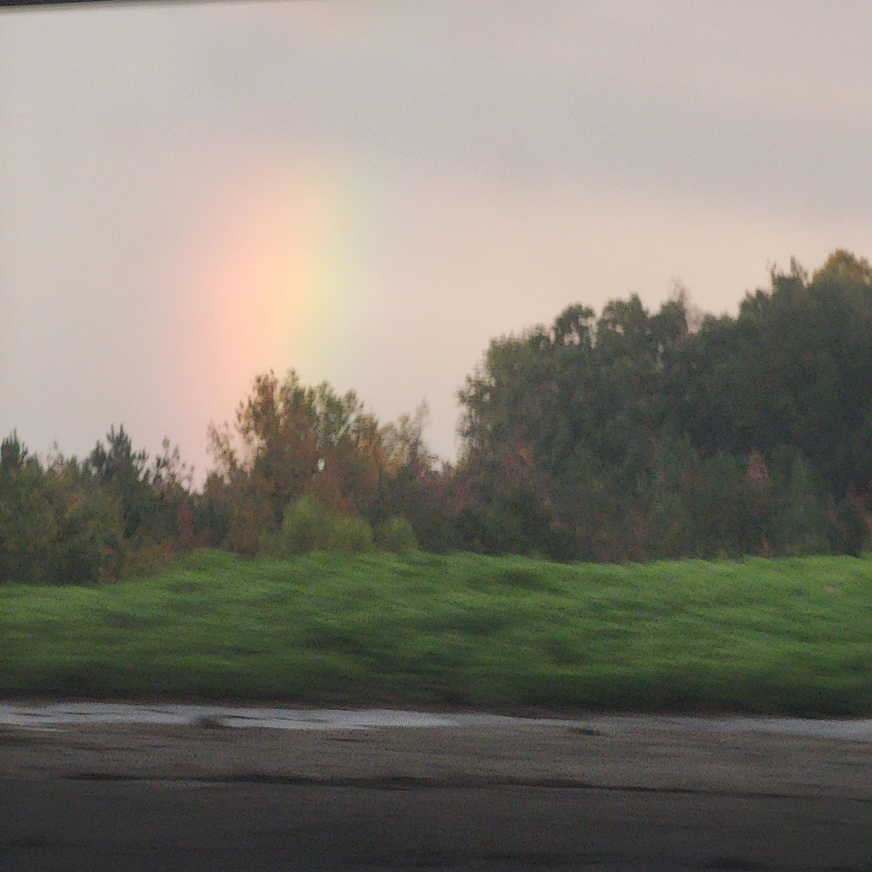 user avatar image for Jaime