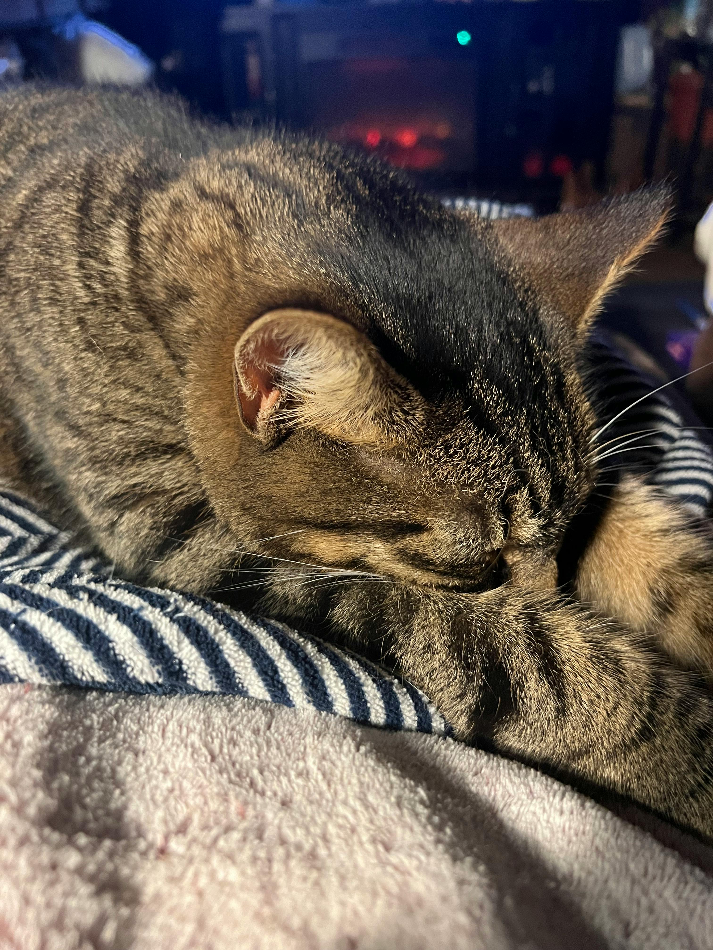 user avatar image for Vicky Thompson