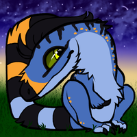 user avatar image for Wren