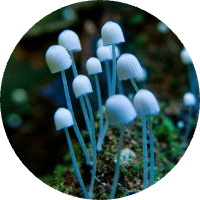 user avatar image for Dominique