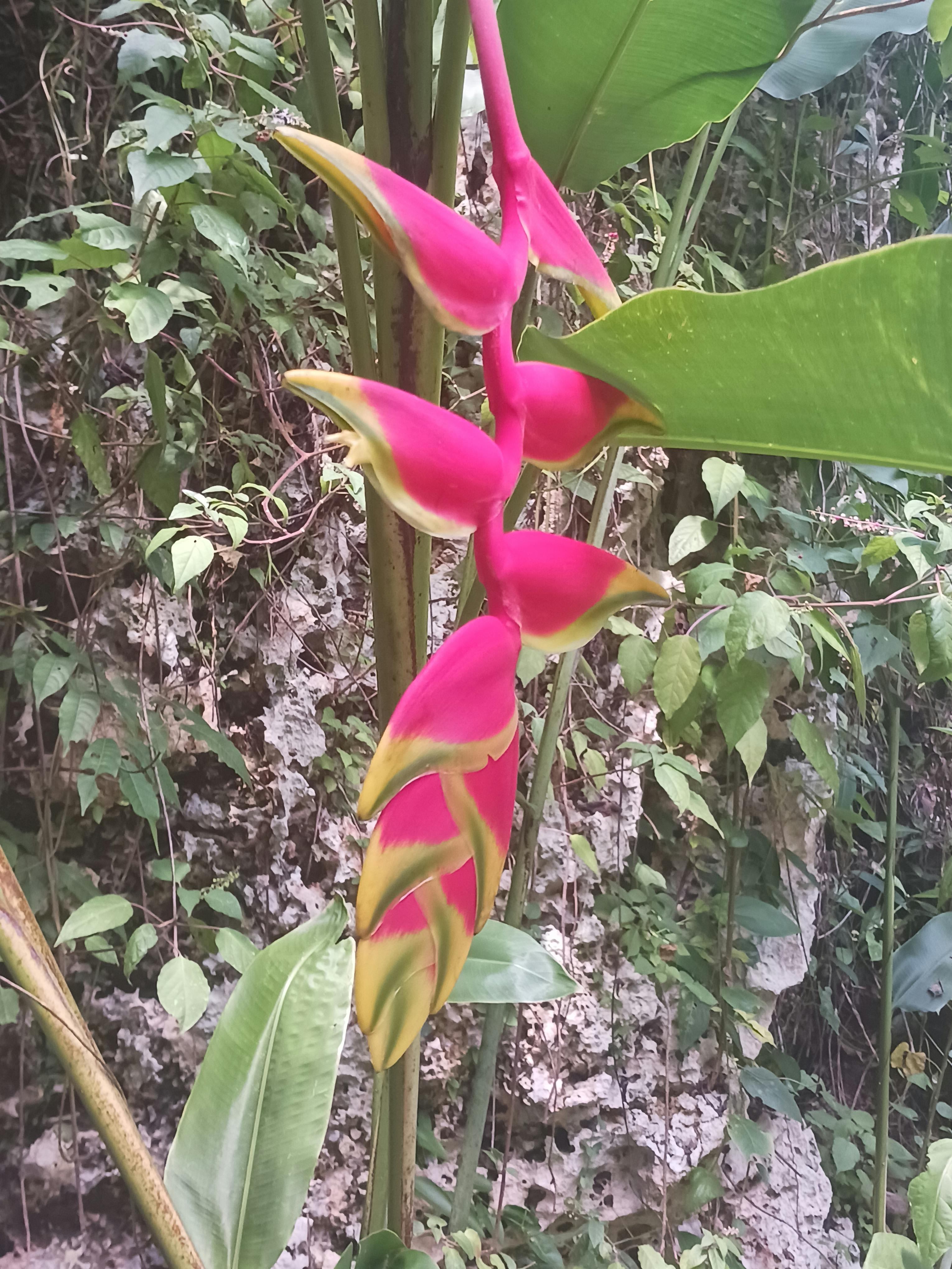 user avatar image for William 