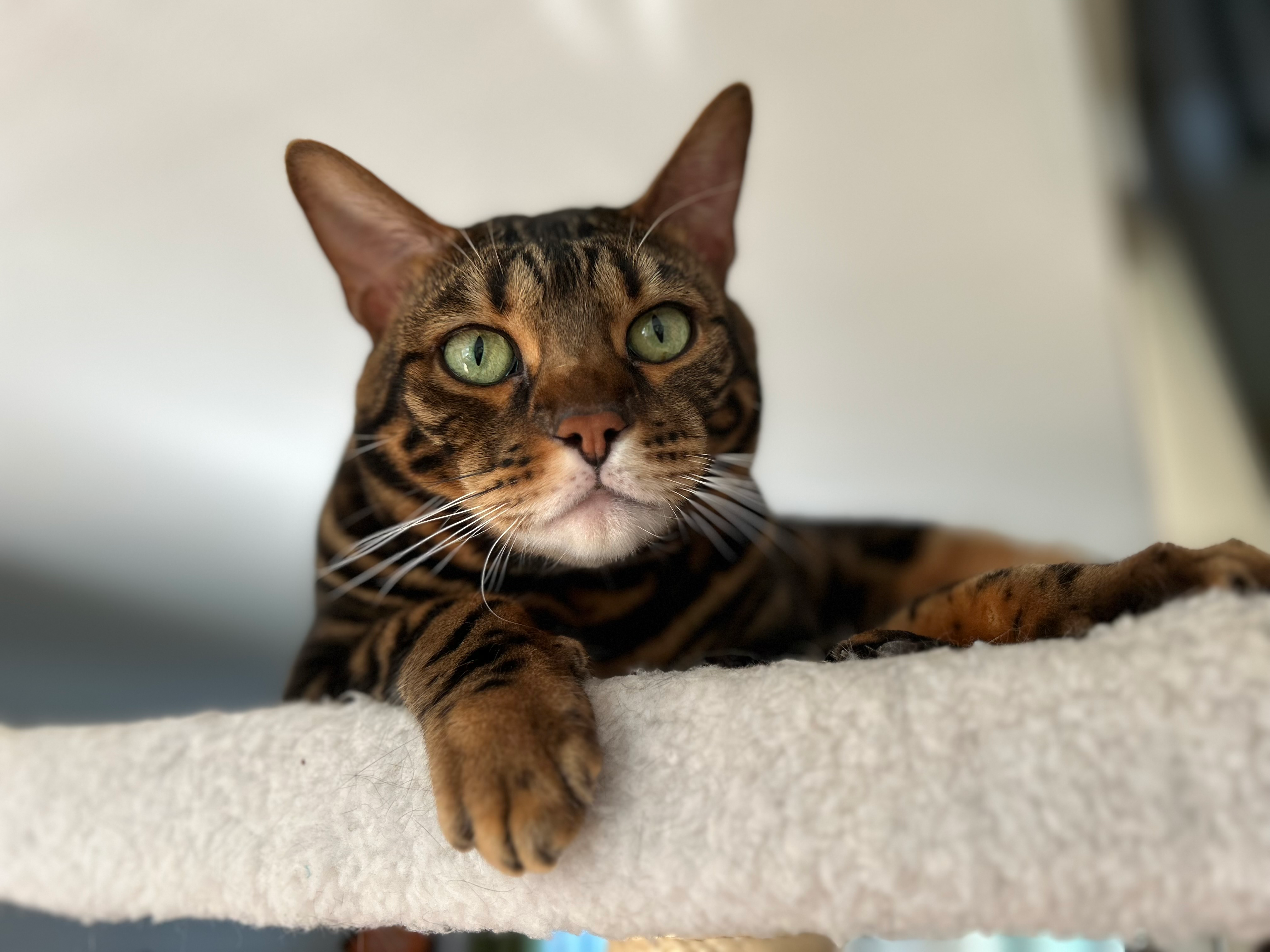 user avatar image for Zoe Bryant