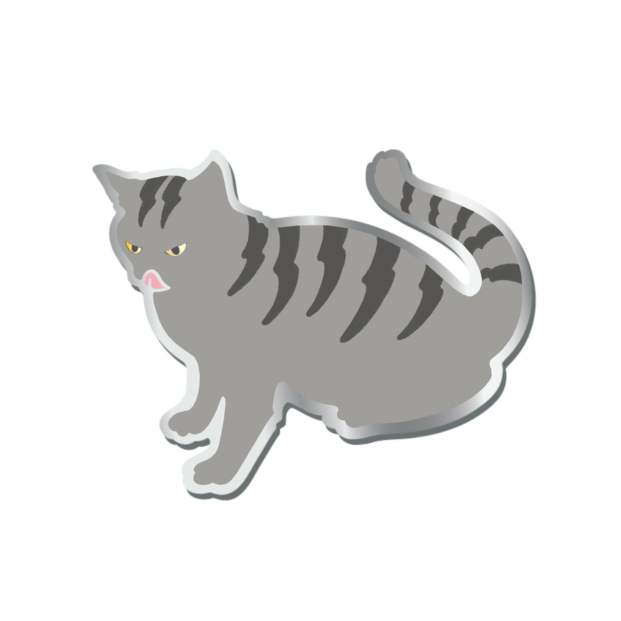 Gray Tabby