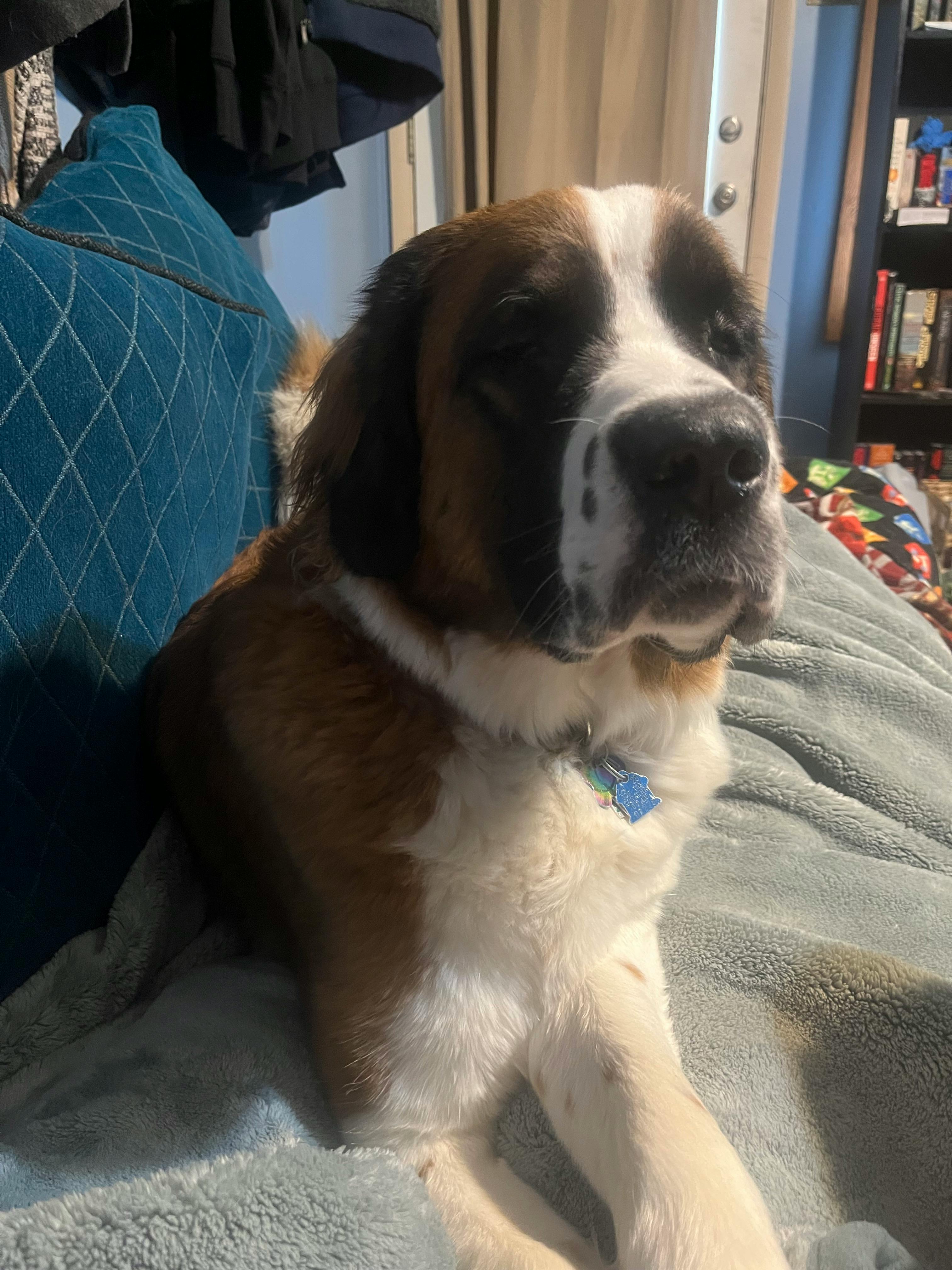 user avatar image for Morgainepower