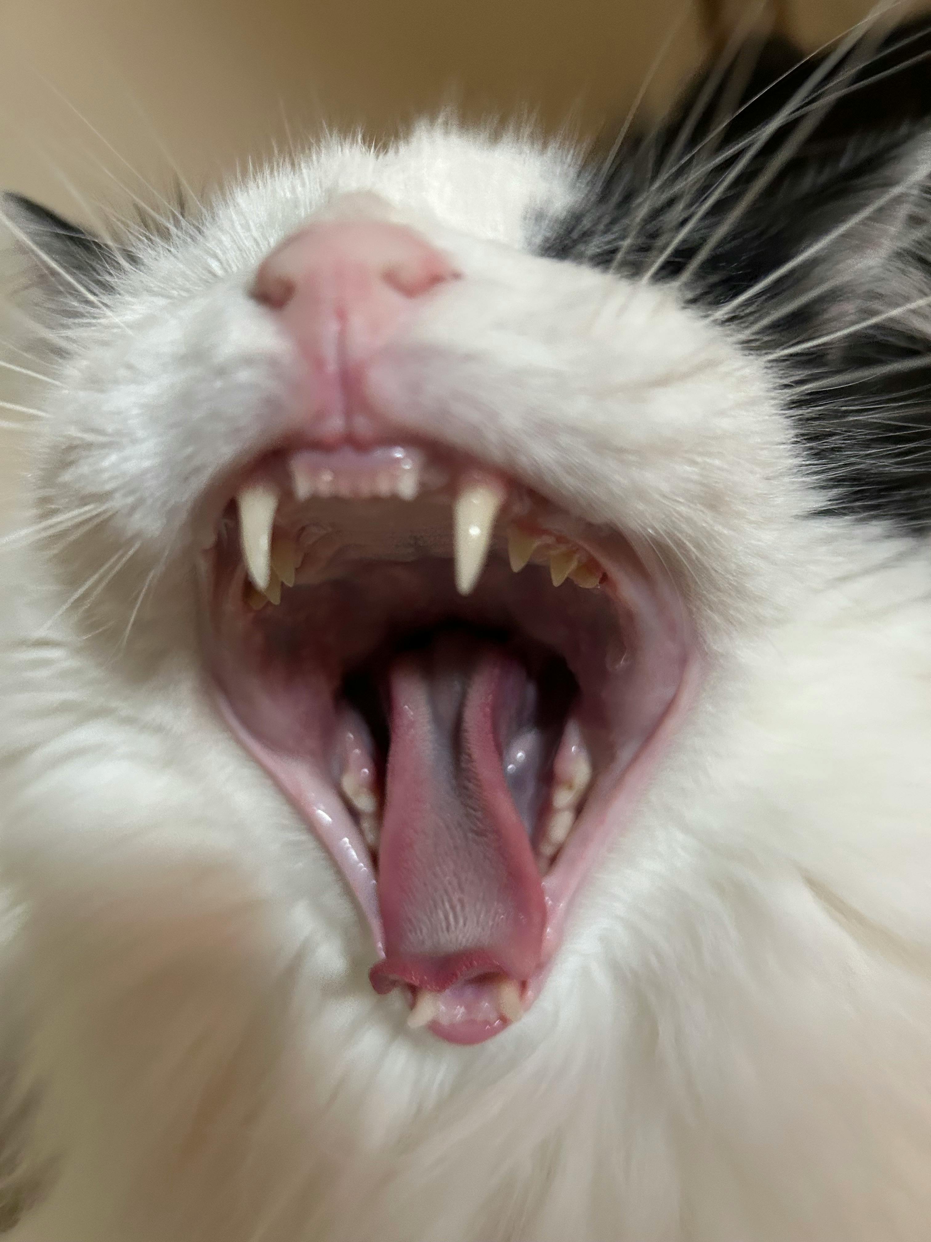 user avatar image for Emily