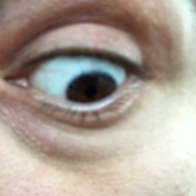 user avatar image for Marco Scolé