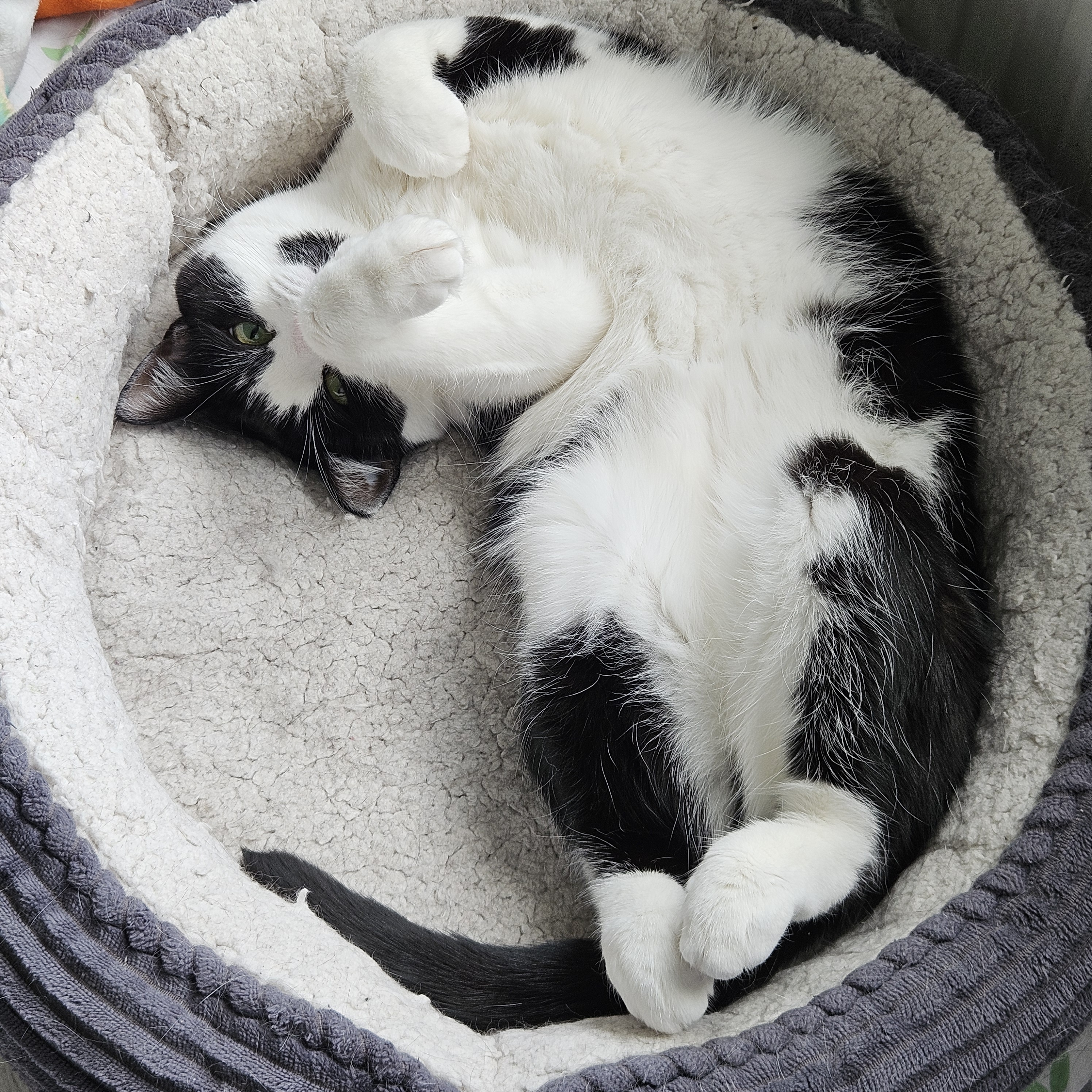 user avatar image for matt p