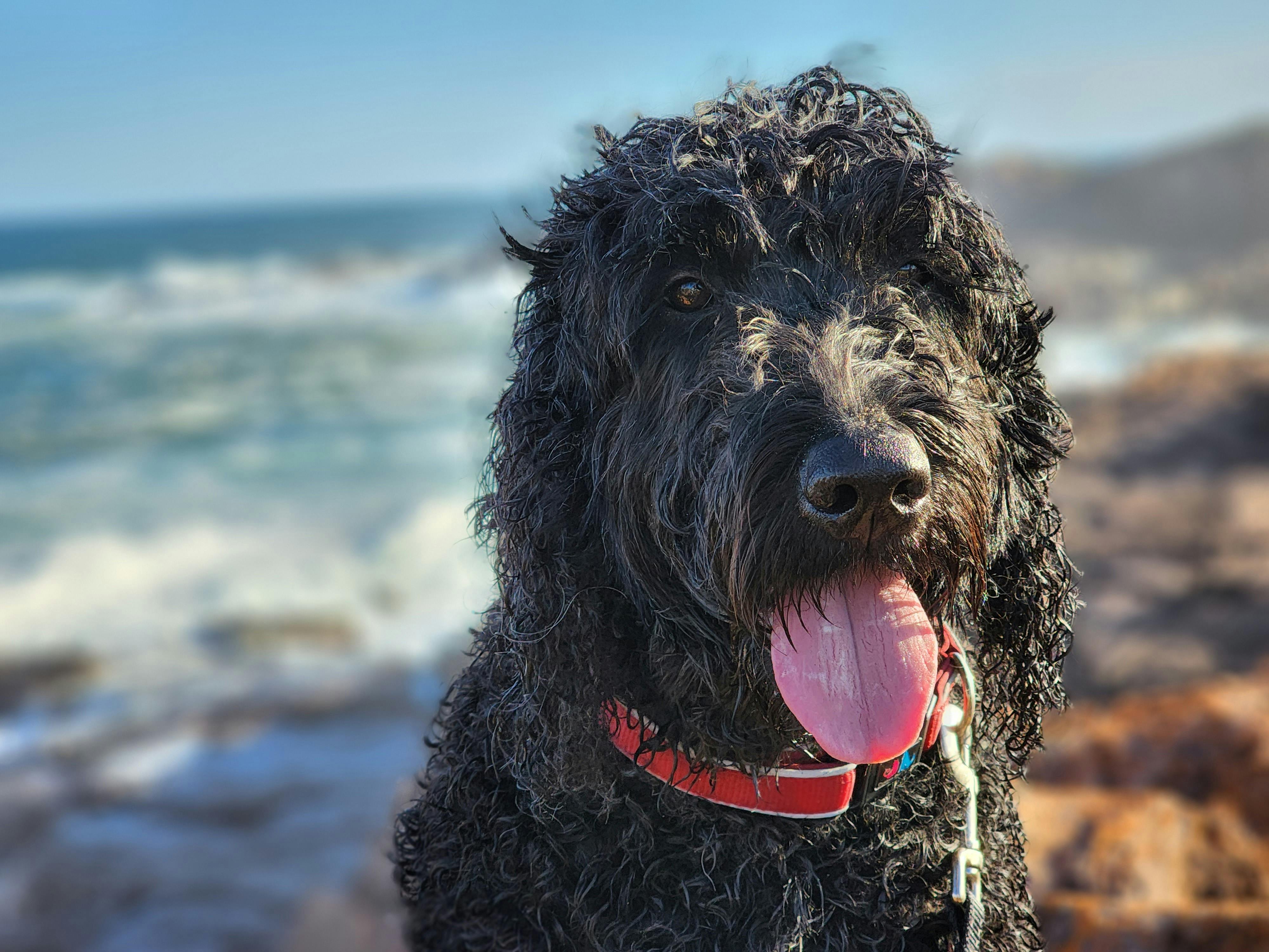 user avatar image for Erin McKee